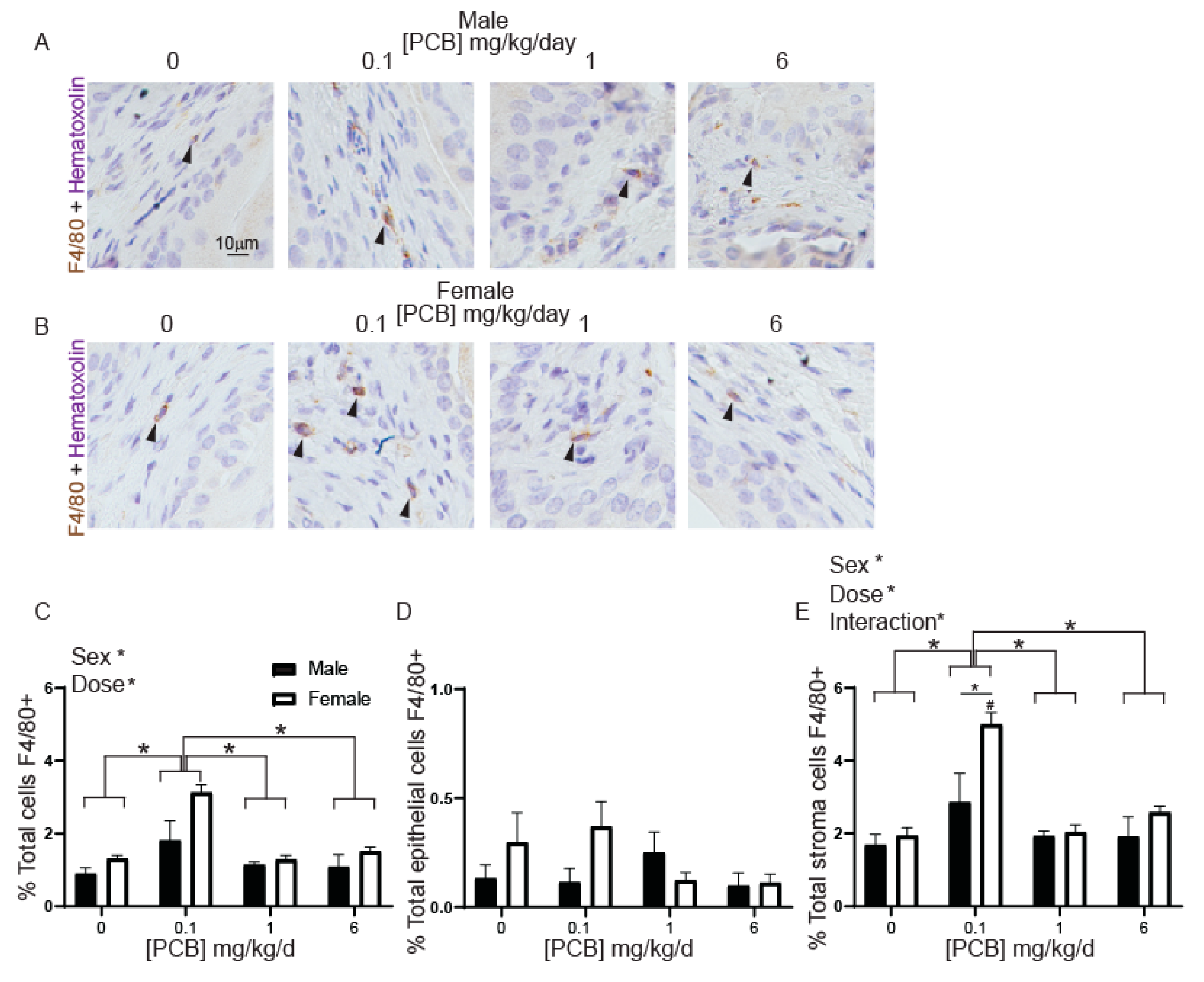 Toxics 09 00214 g004 550