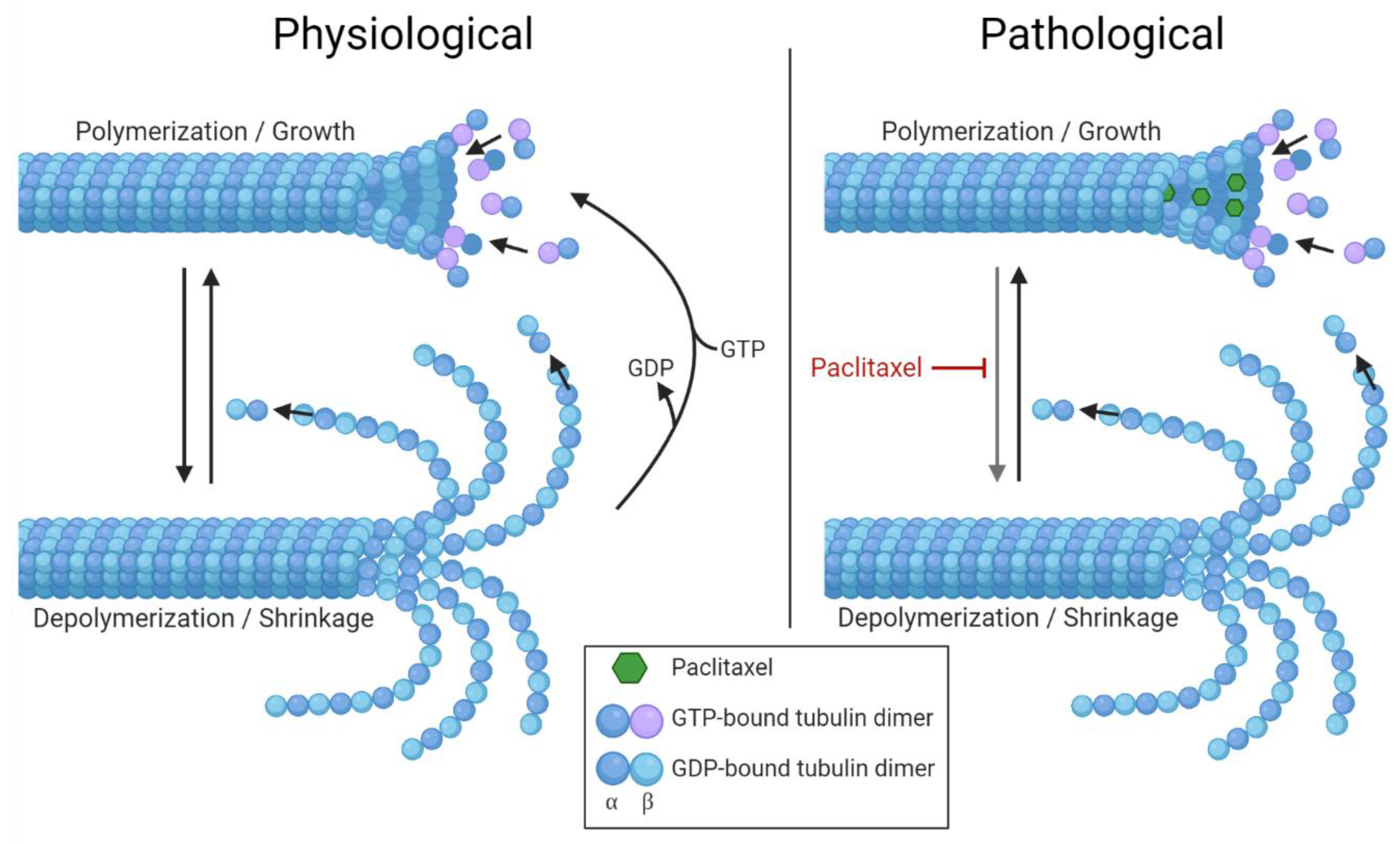 Toxics 09 00229 g001 550