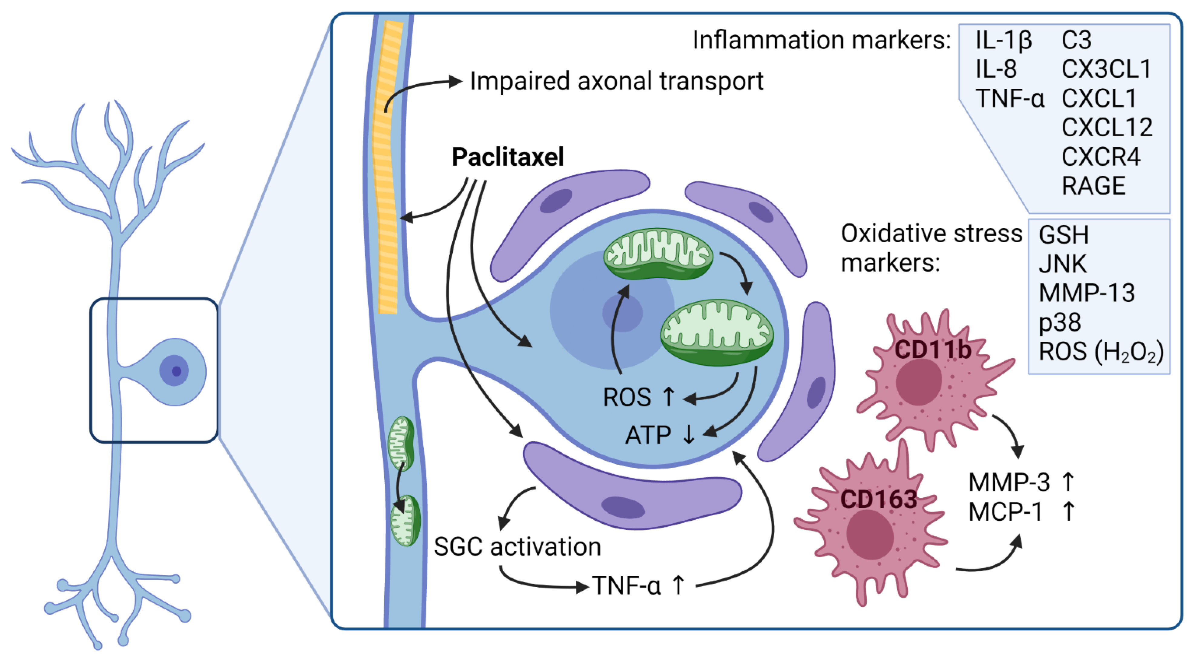Toxics 09 00229 g002 550