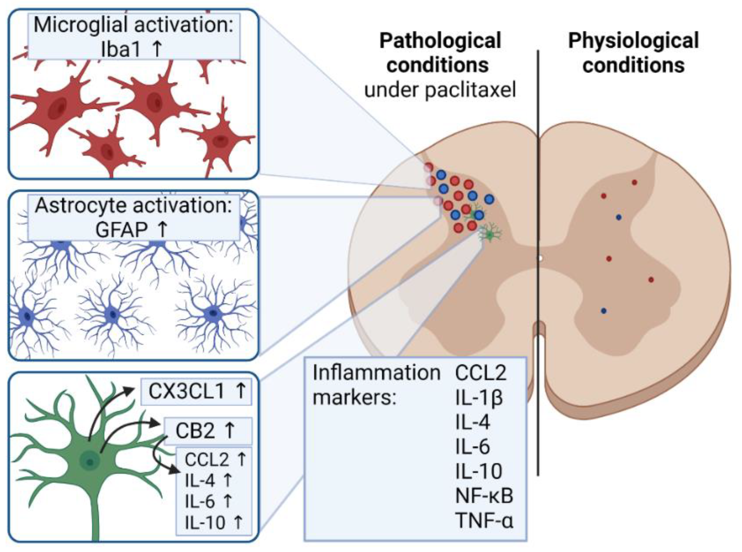 Toxics 09 00229 g003 550