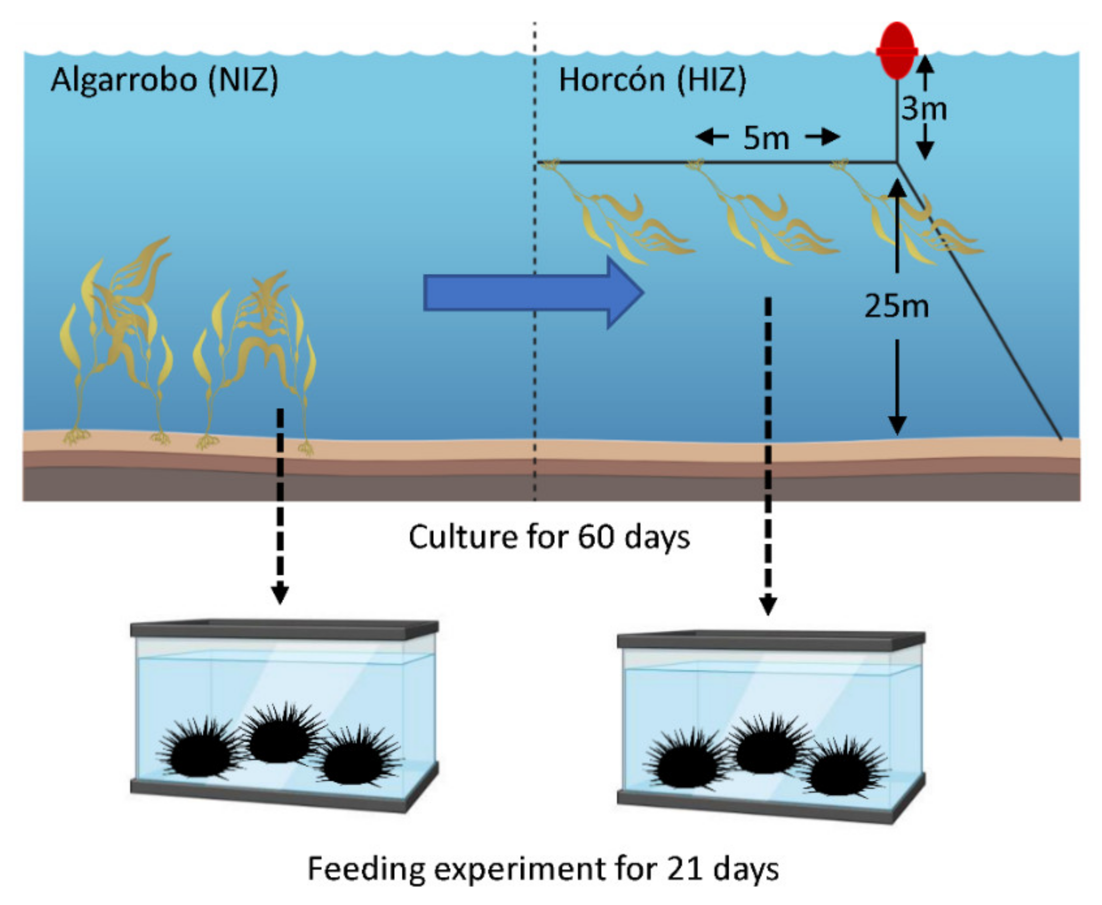 Toxics 09 00244 g002 Toxics 09 00244 g002