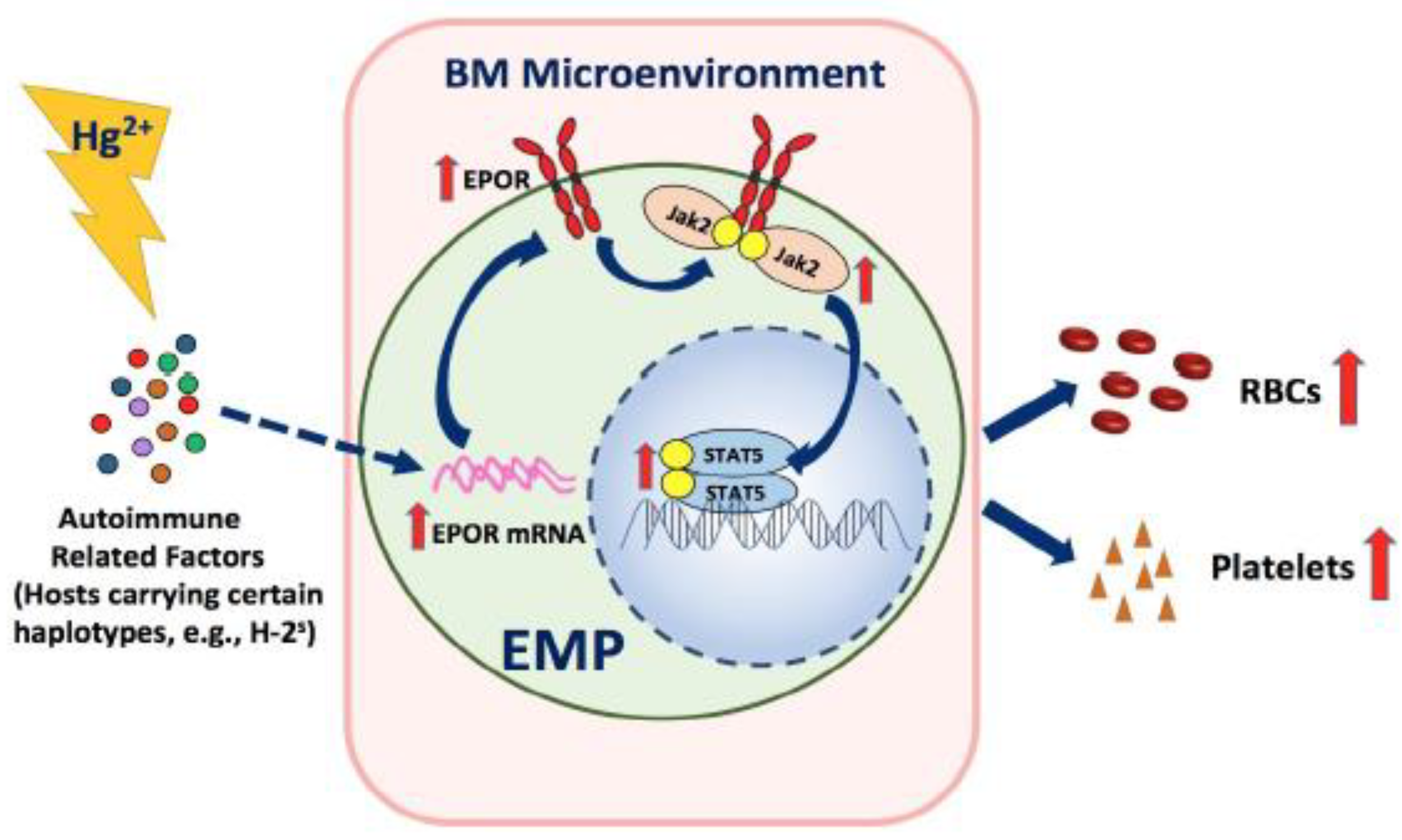 Toxics 09 00252 g008