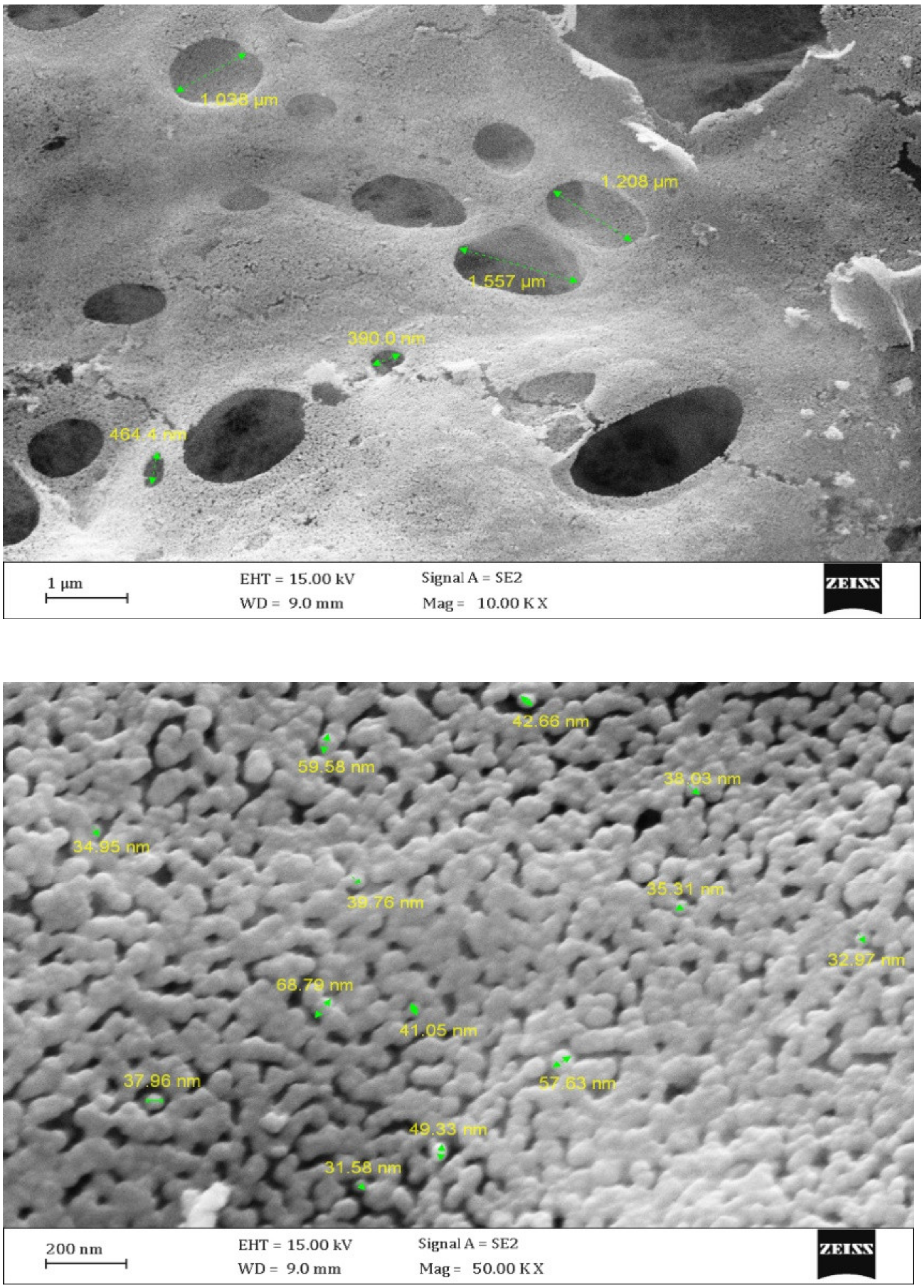 Toxics 09 00254 g005 550