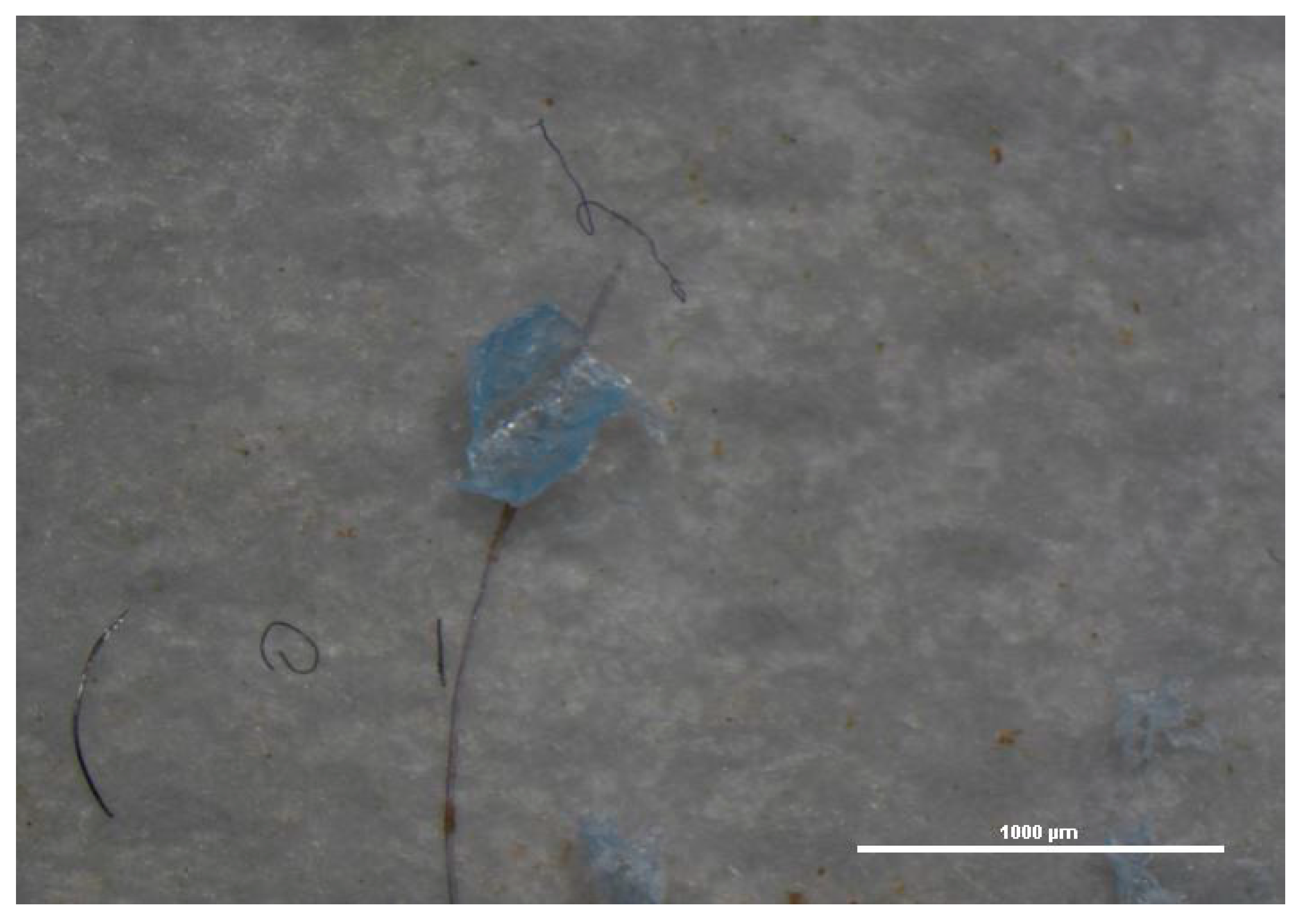 Toxics 09 00256 g001 550