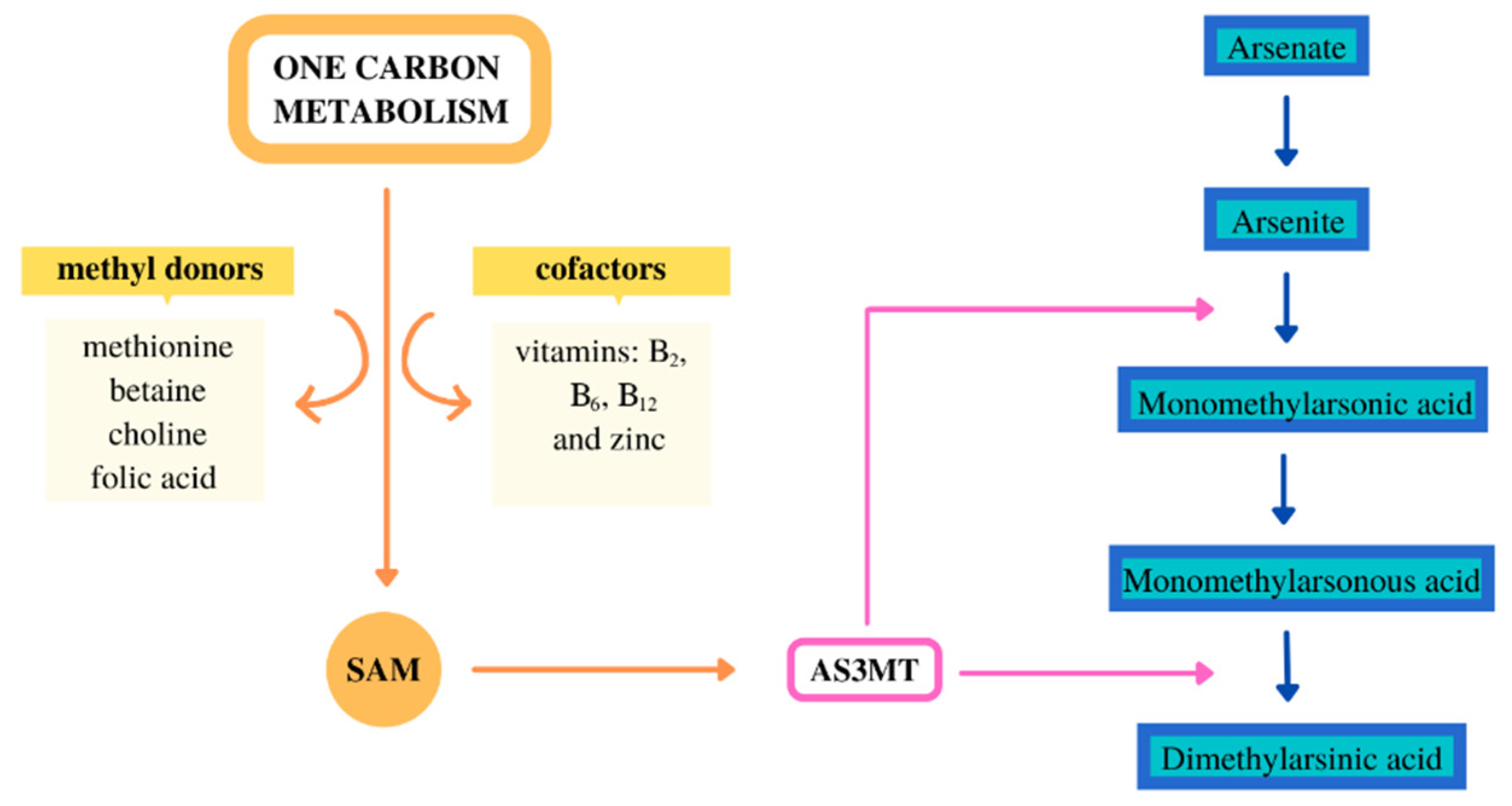 Toxics 09 00258 g001 550