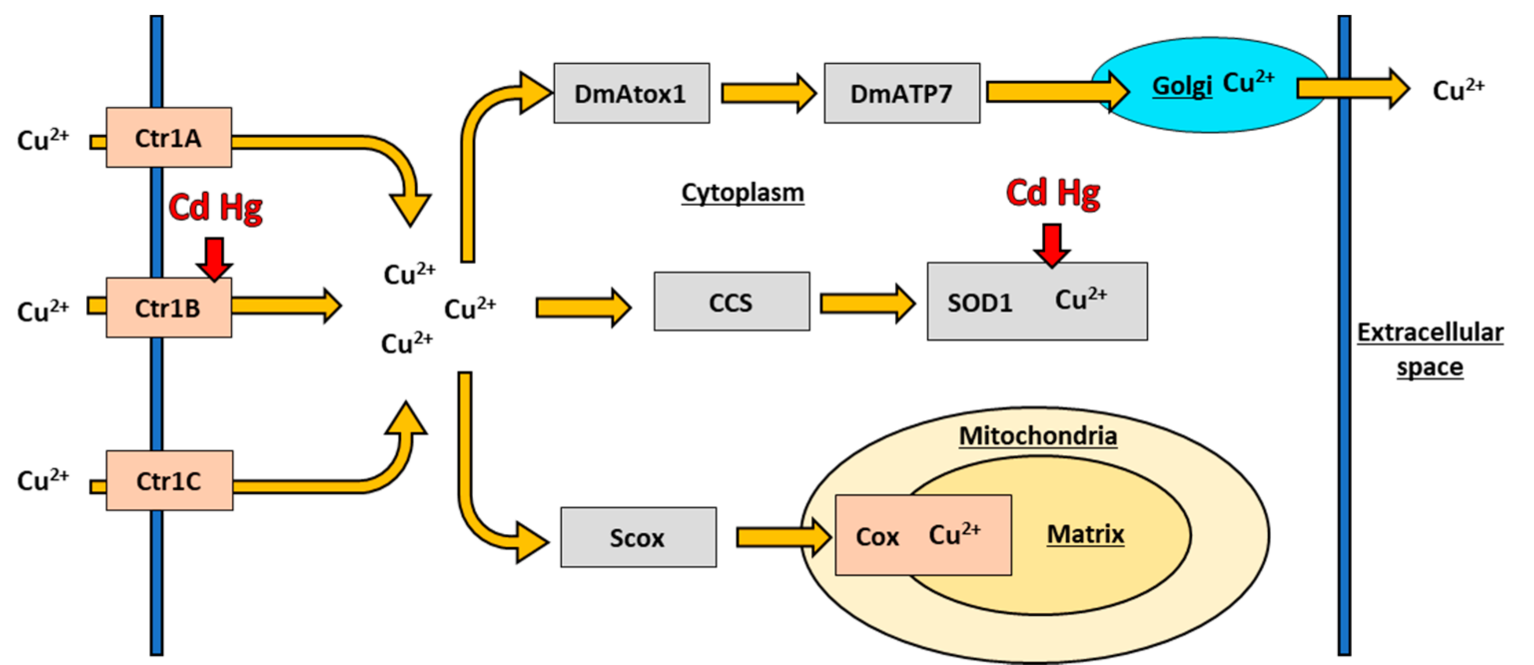 Toxics 09 00269 g002