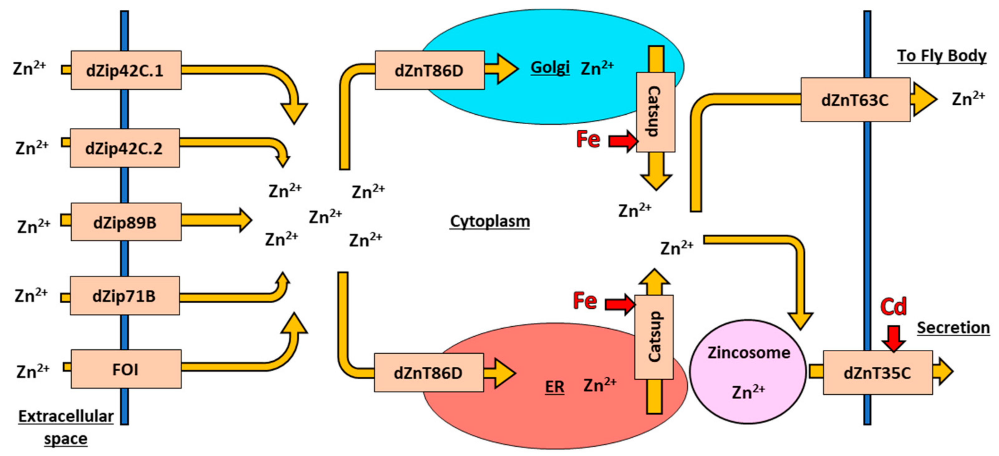 Toxics 09 00269 g003