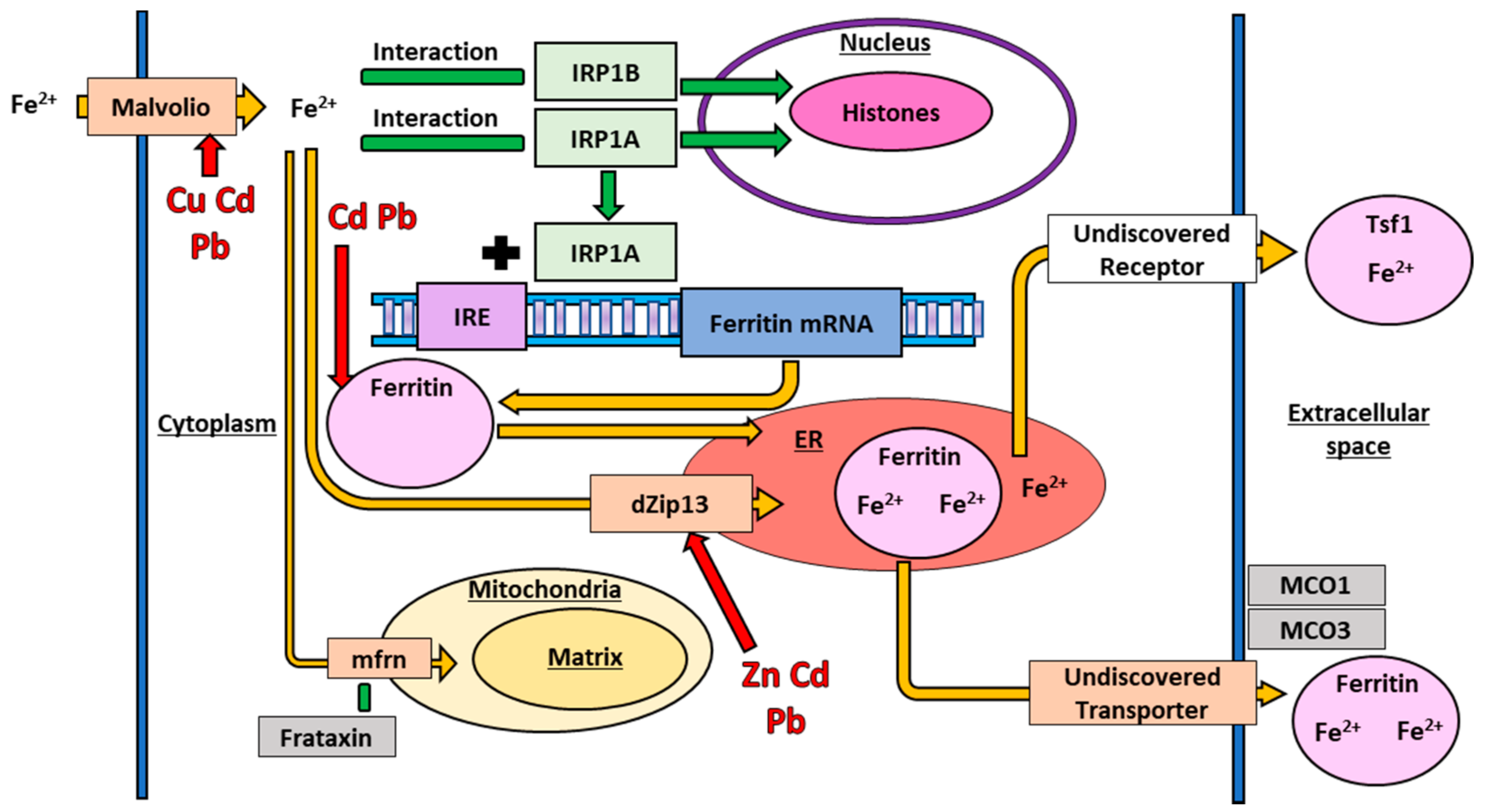 Toxics 09 00269 g004