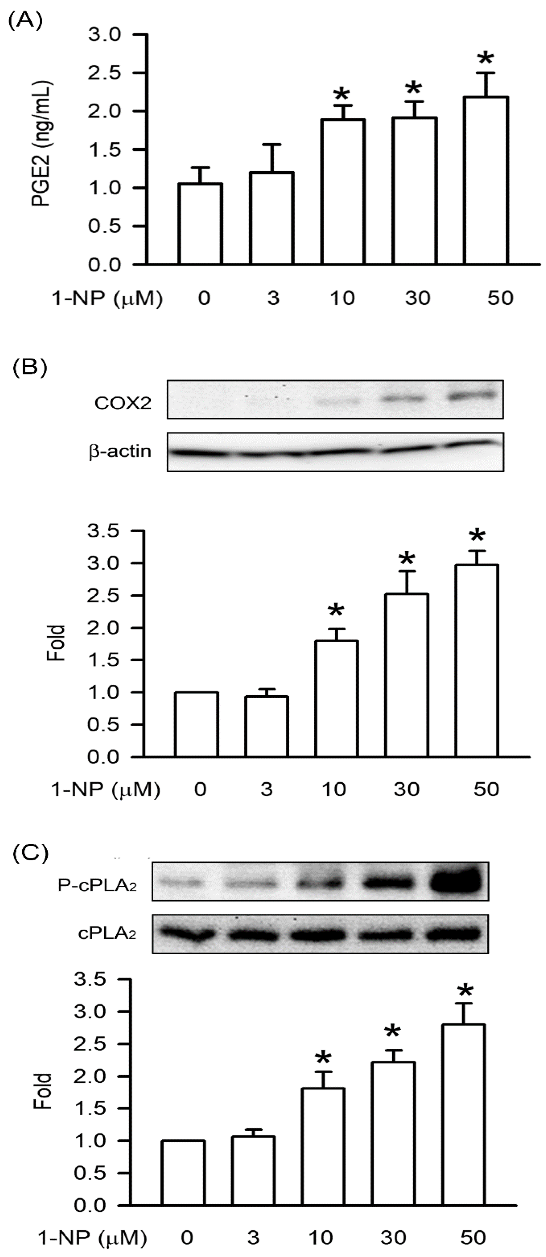 Proinflammatory Responses of 1-Nitropyrene against RAW264.7