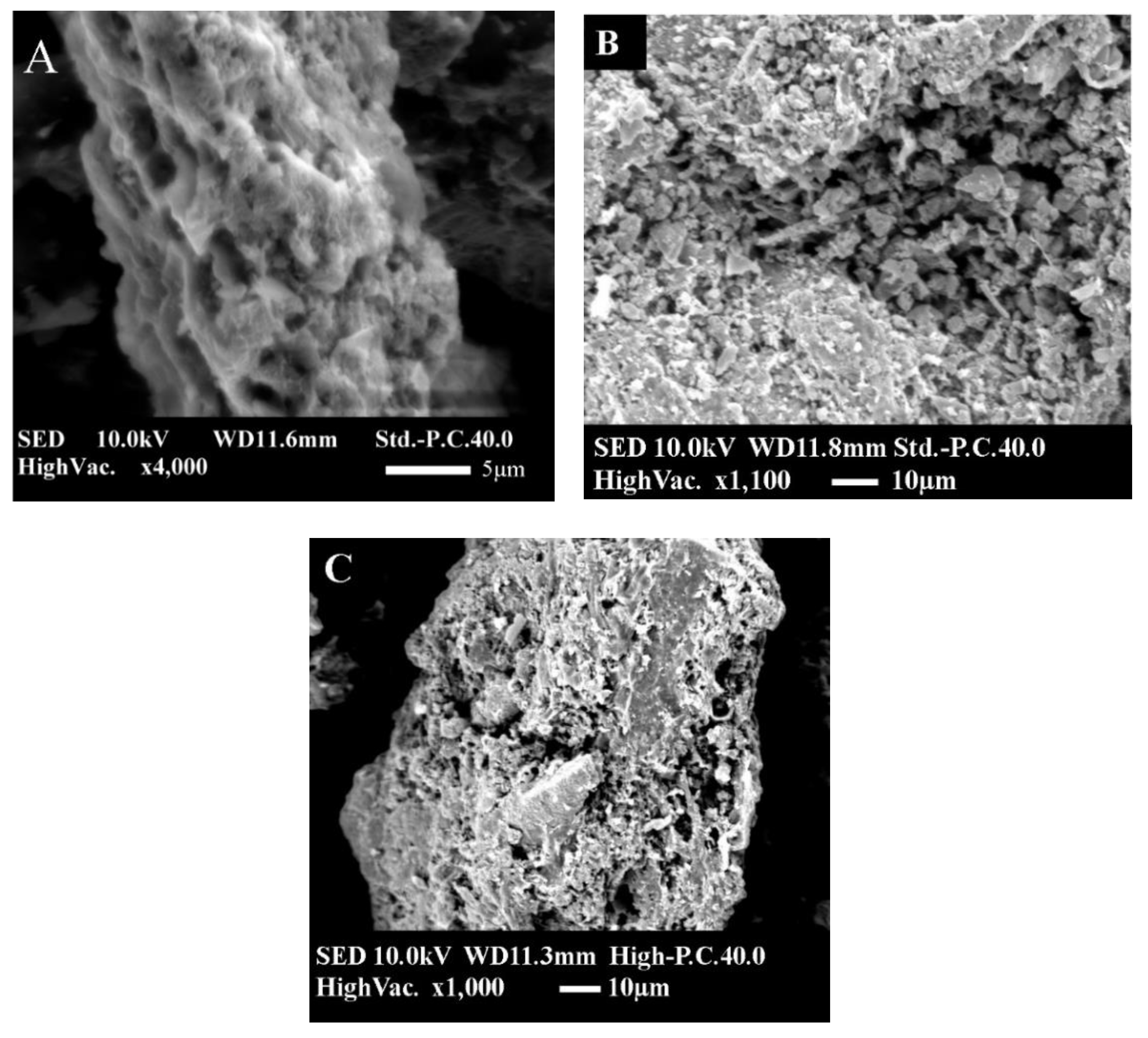 Toxics 09 00277 g004 550