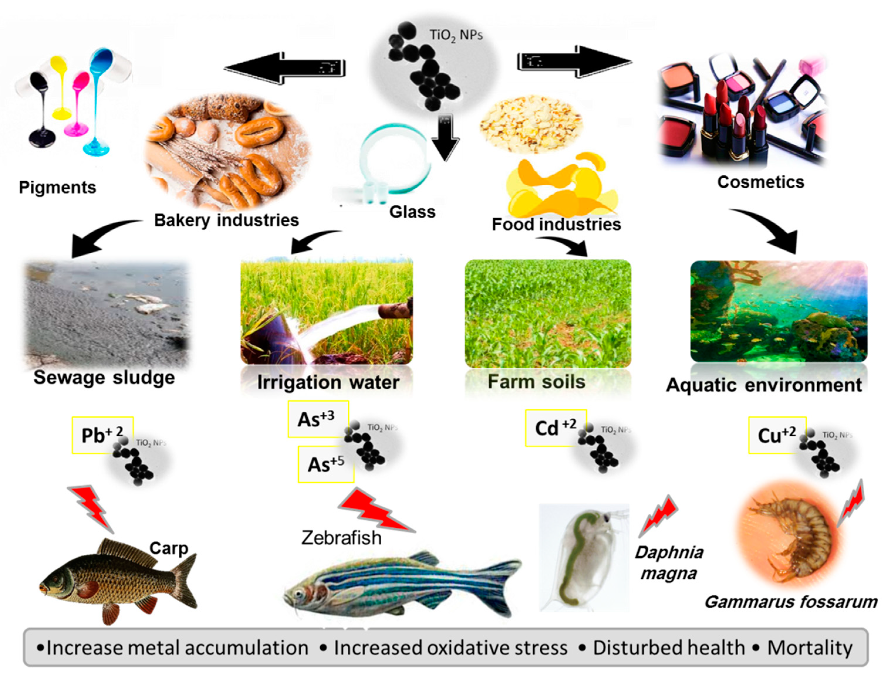 Toxics 09 00284 g001