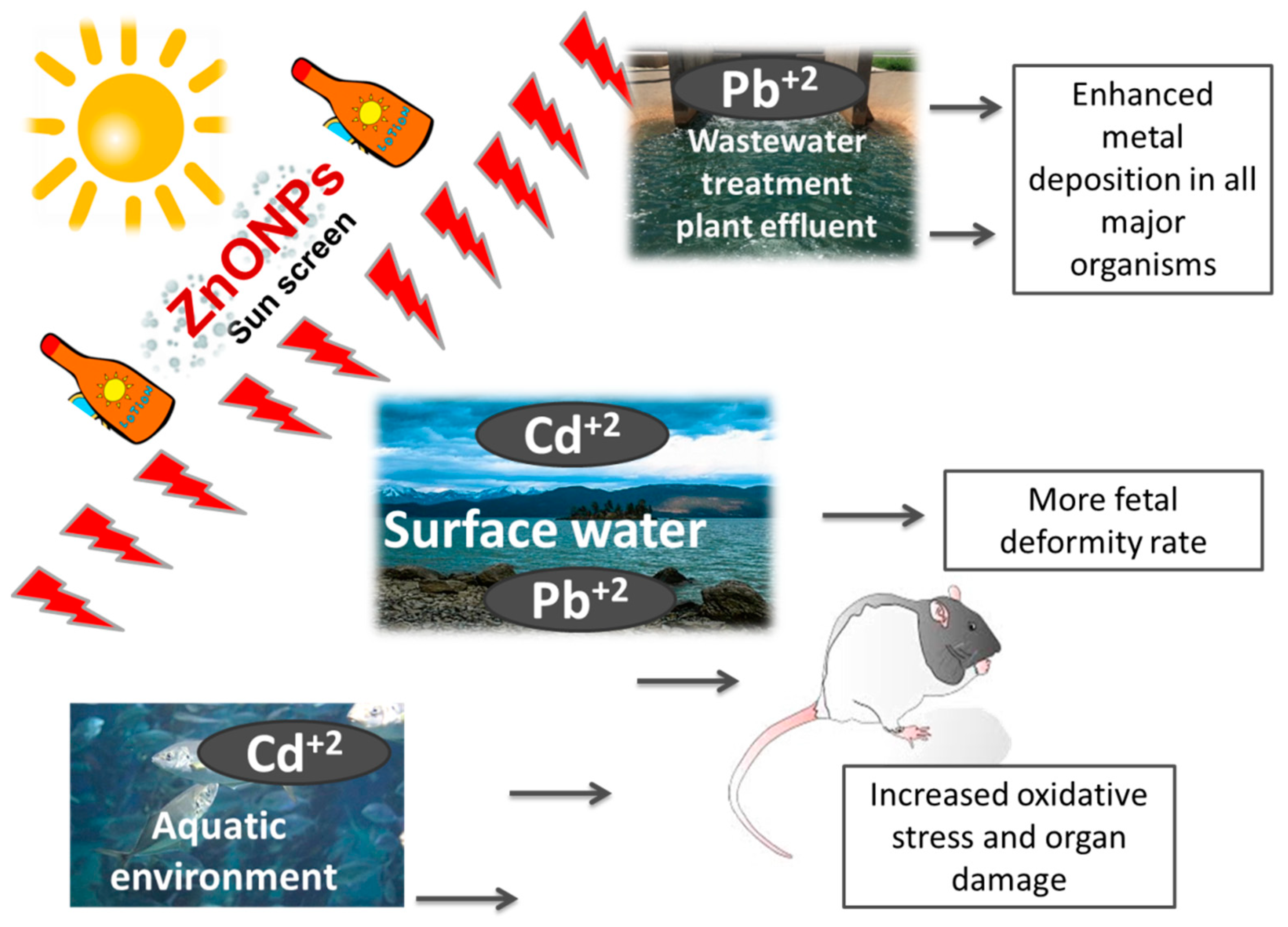 Toxics 09 00284 g002
