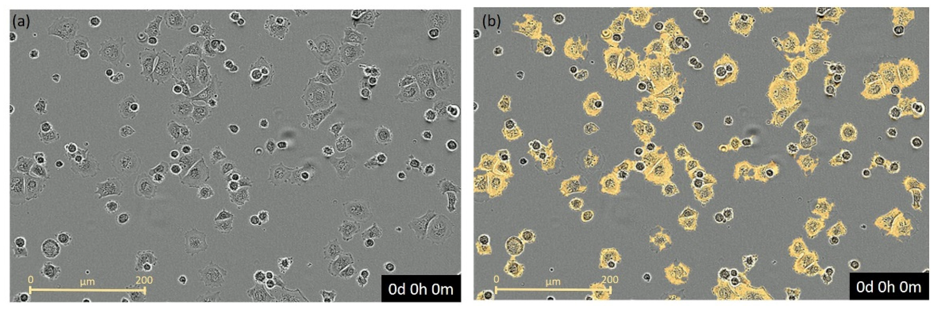 Toxics 09 00286 g001