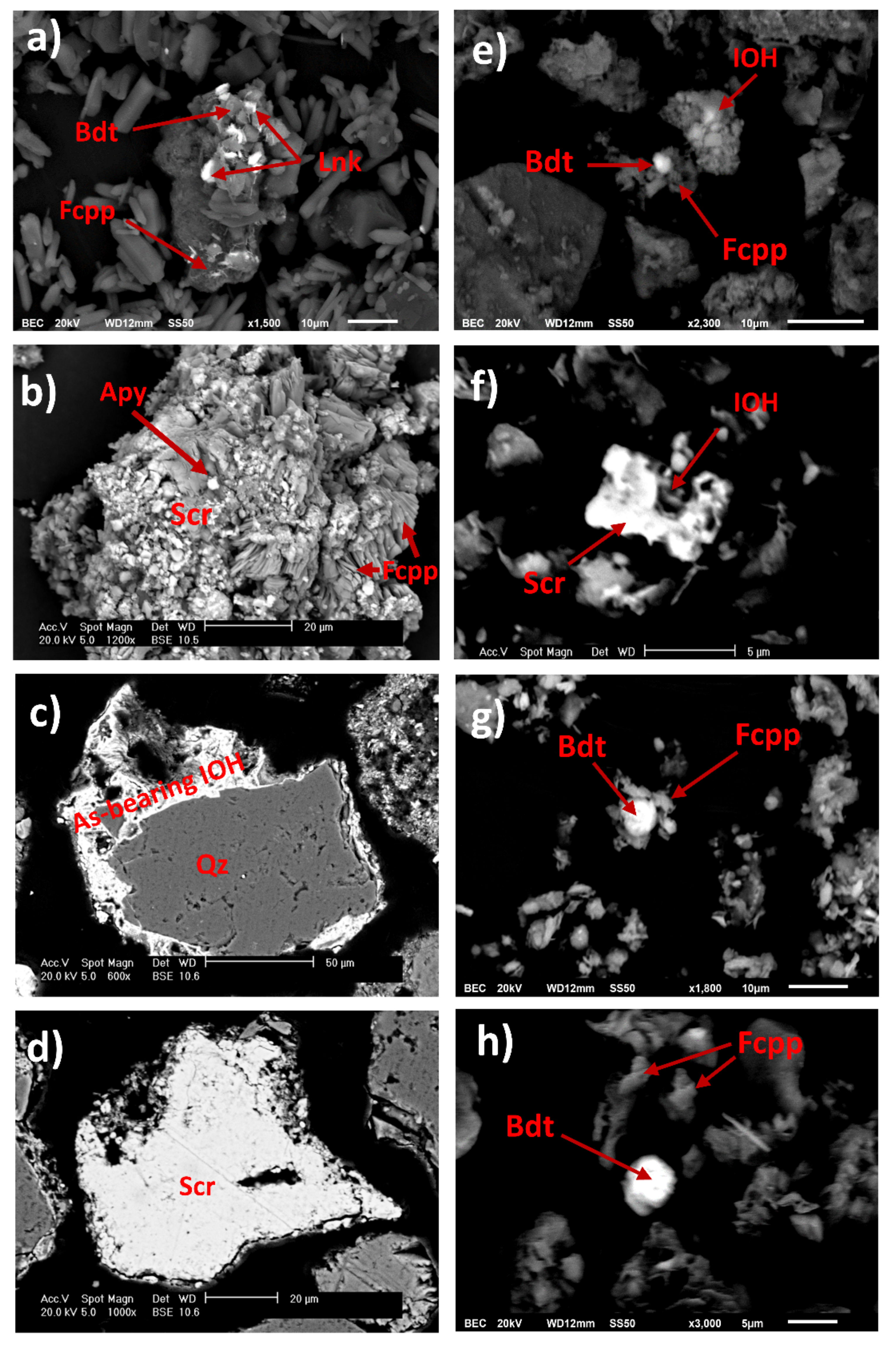 Toxics 09 00307 g008 550