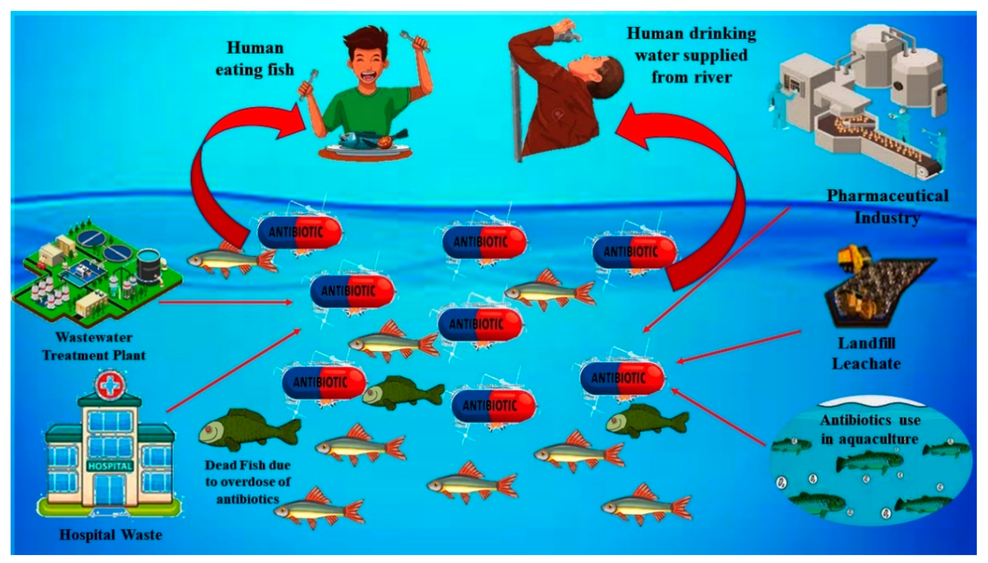 Toxics 09 00313 g001