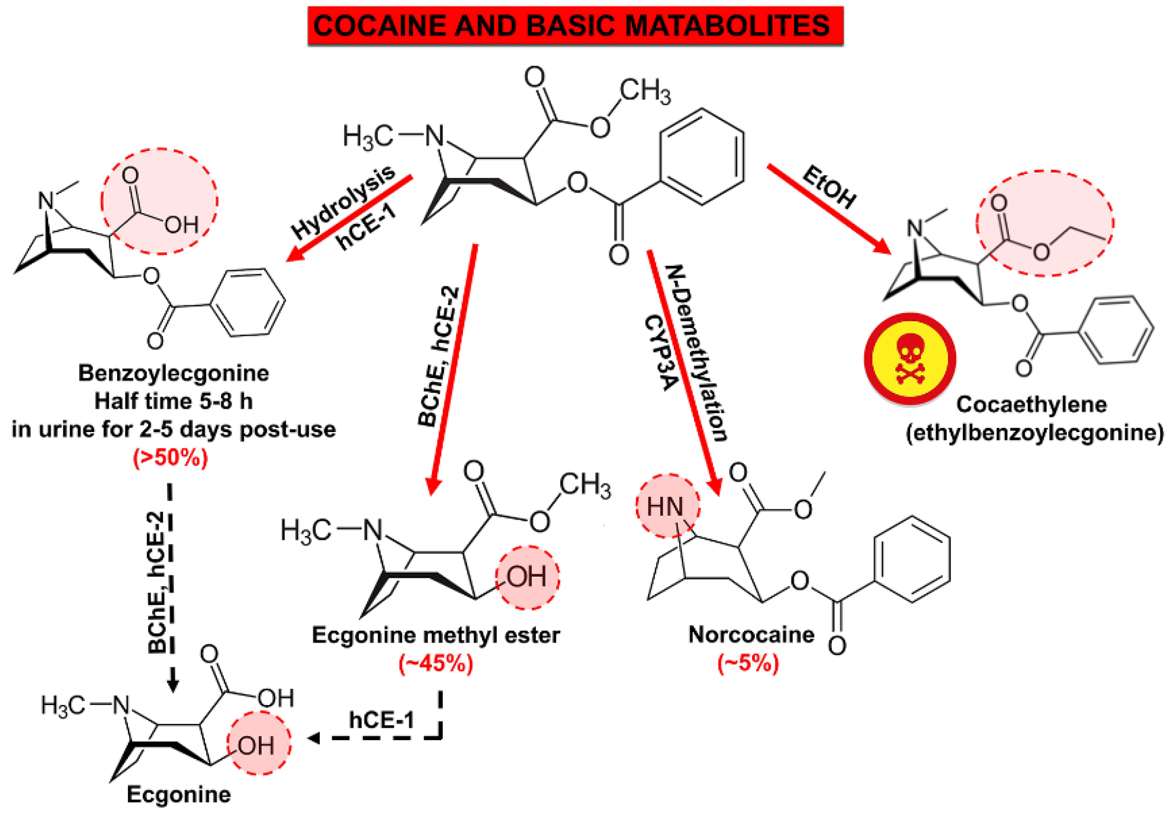 Toxics 09 00317 g002