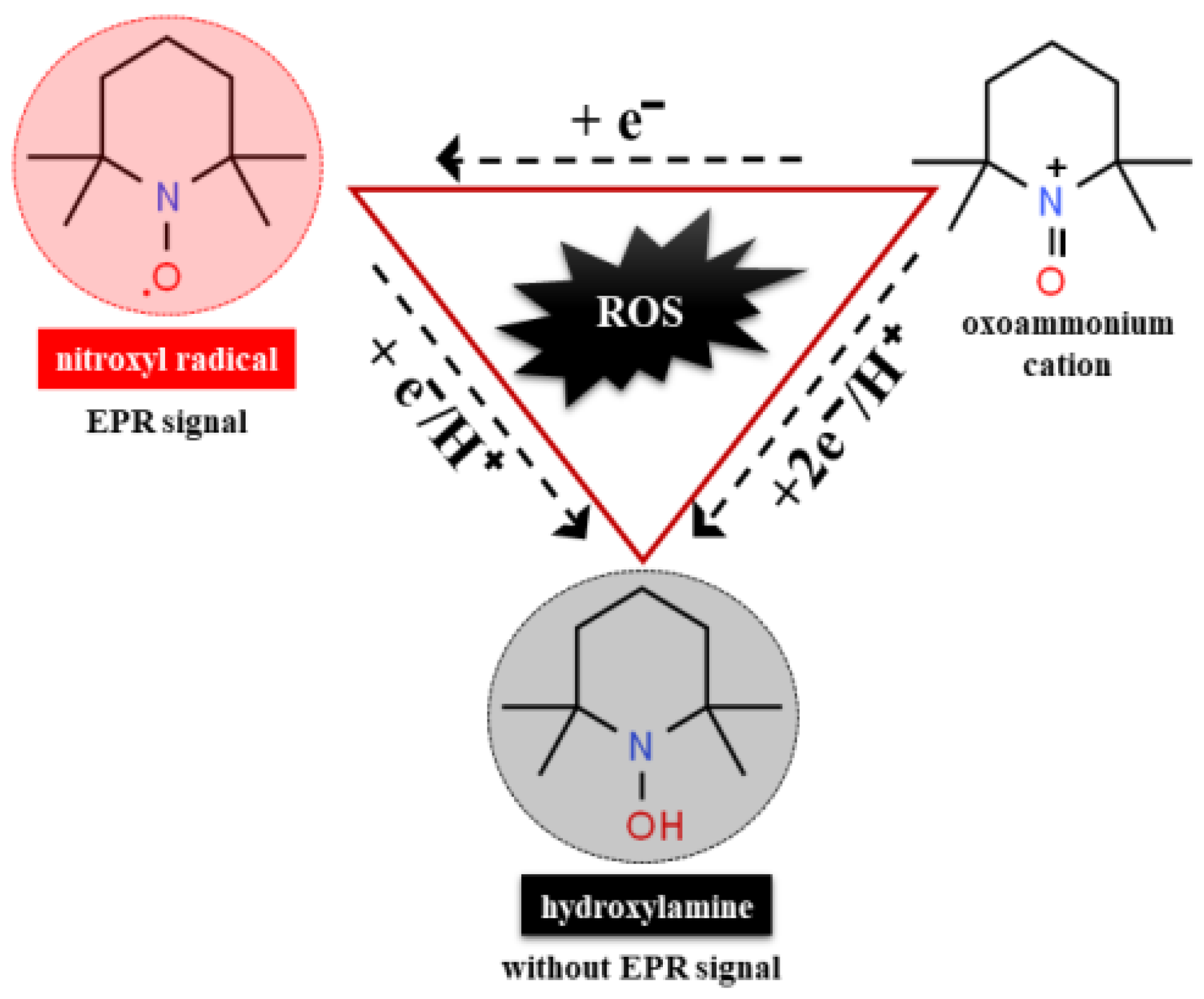 Toxics 09 00317 g003