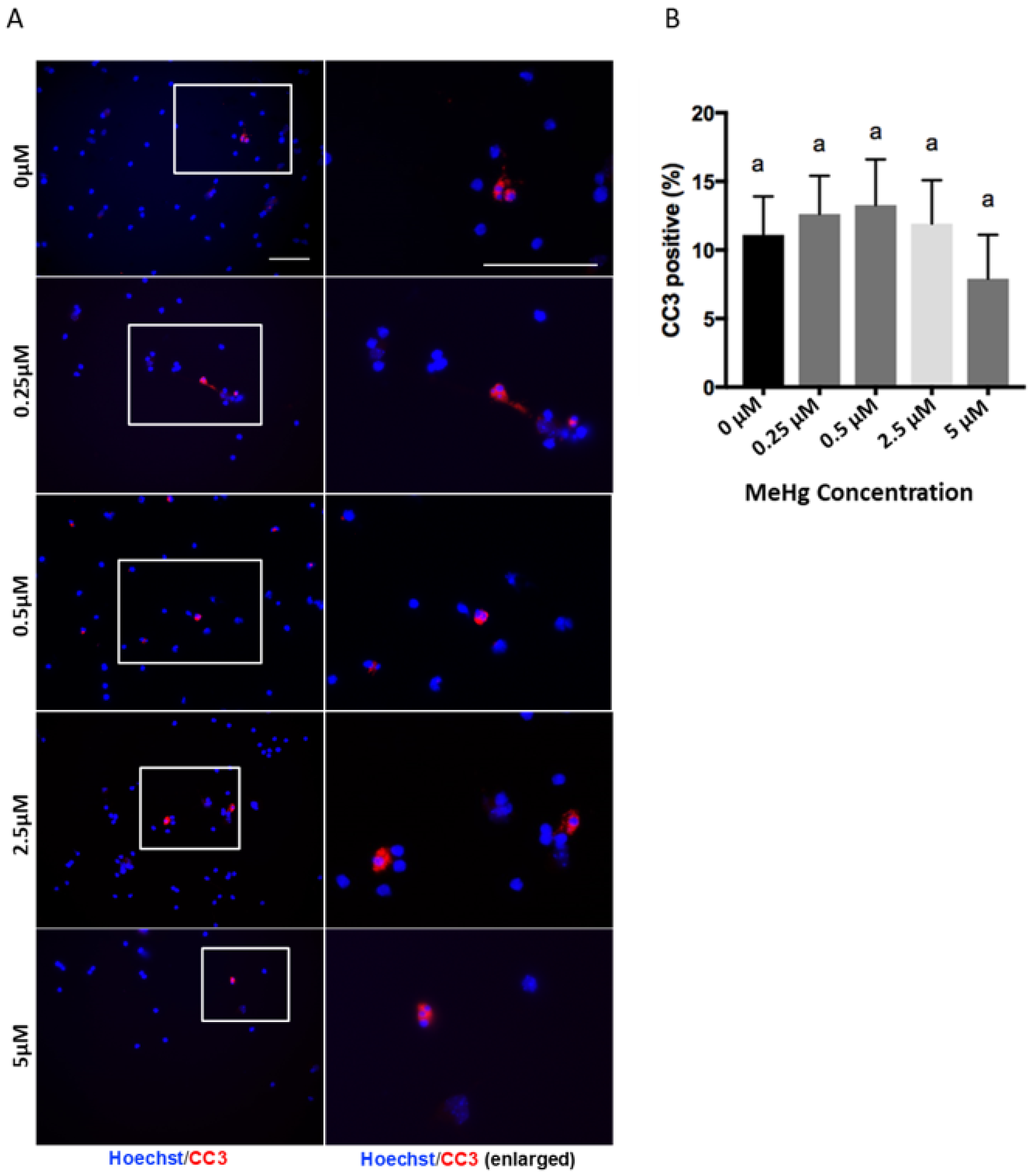 Toxics 09 00322 g001 550