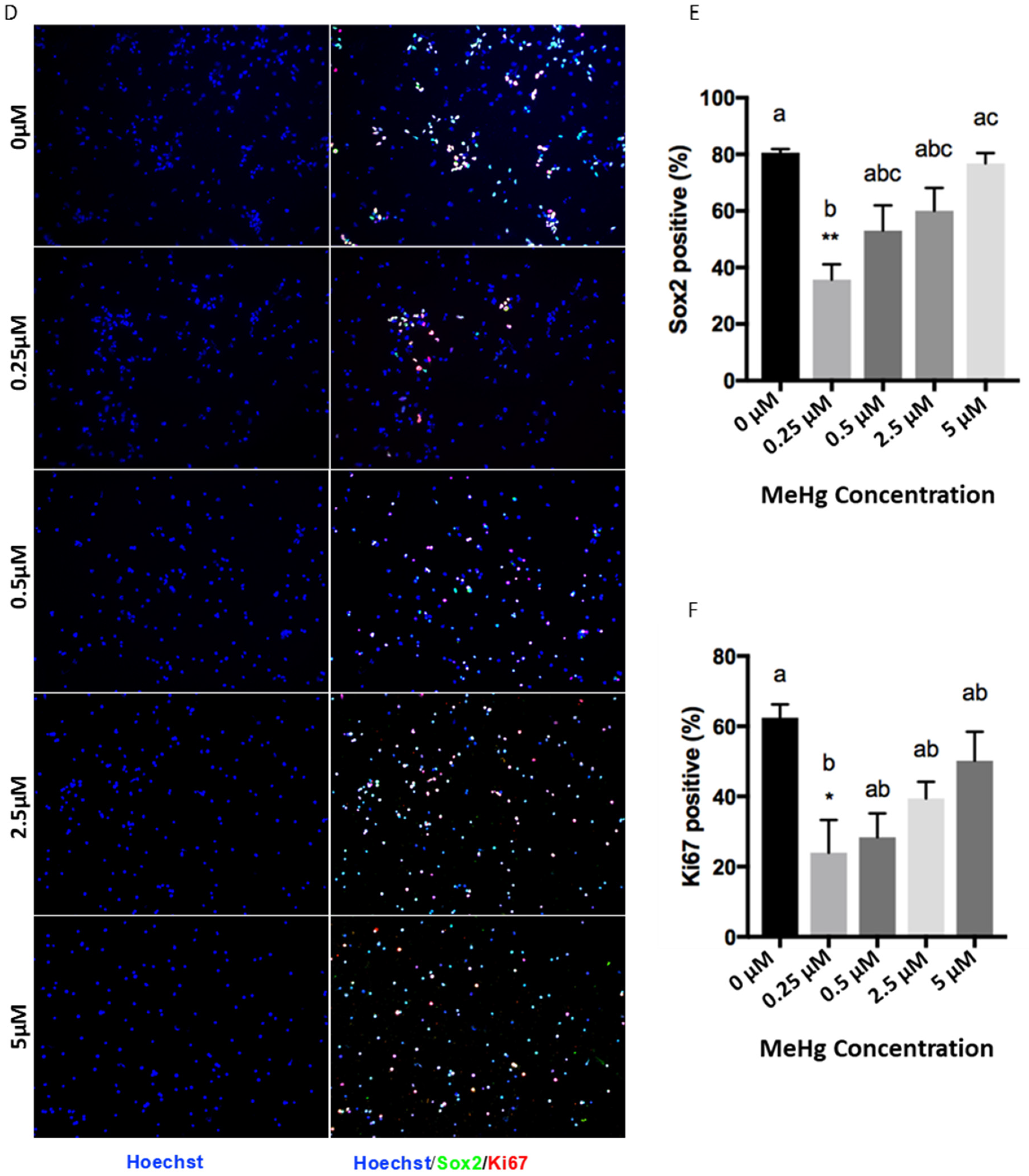 Toxics 09 00322 g002b 550