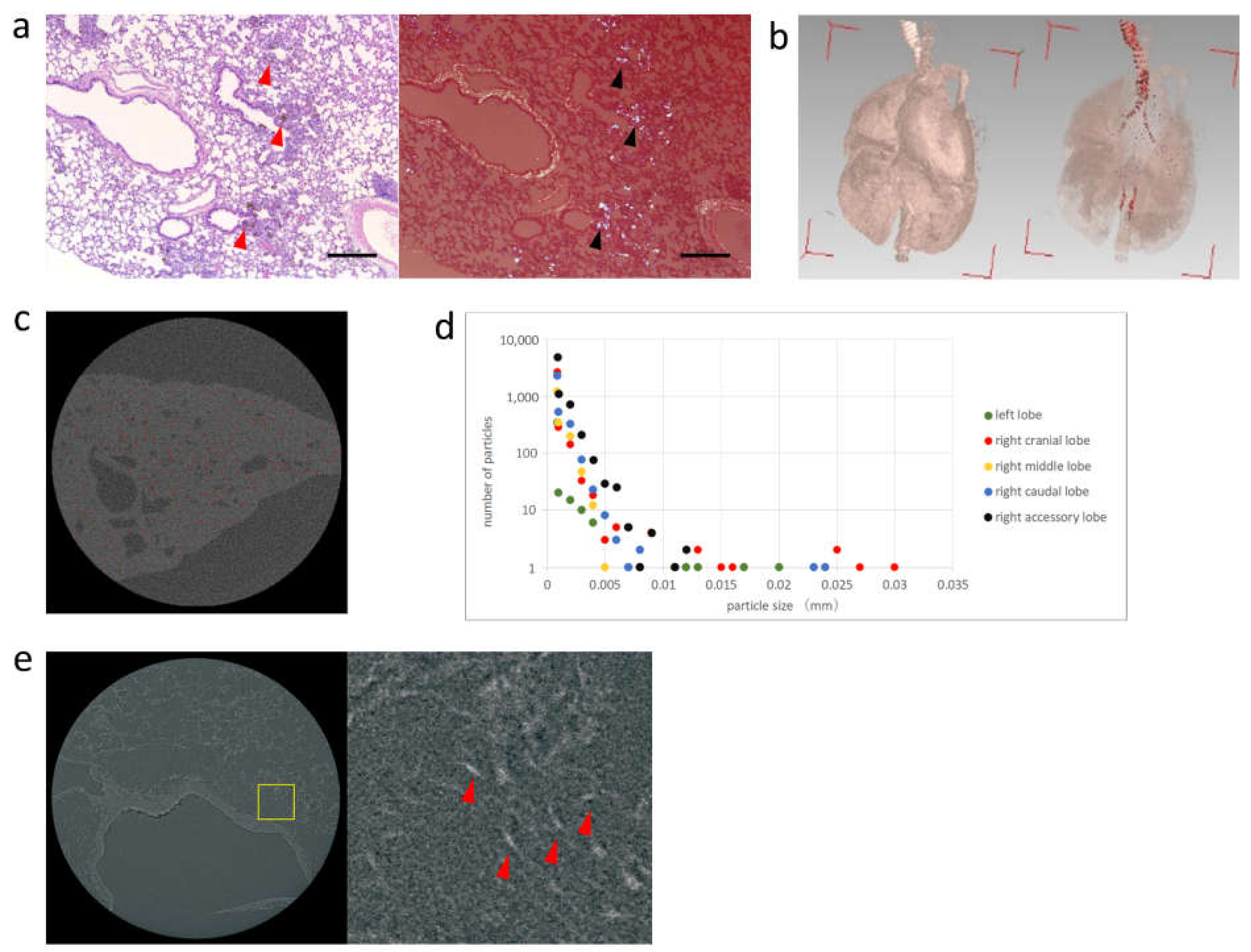 Toxics 09 00331 g004