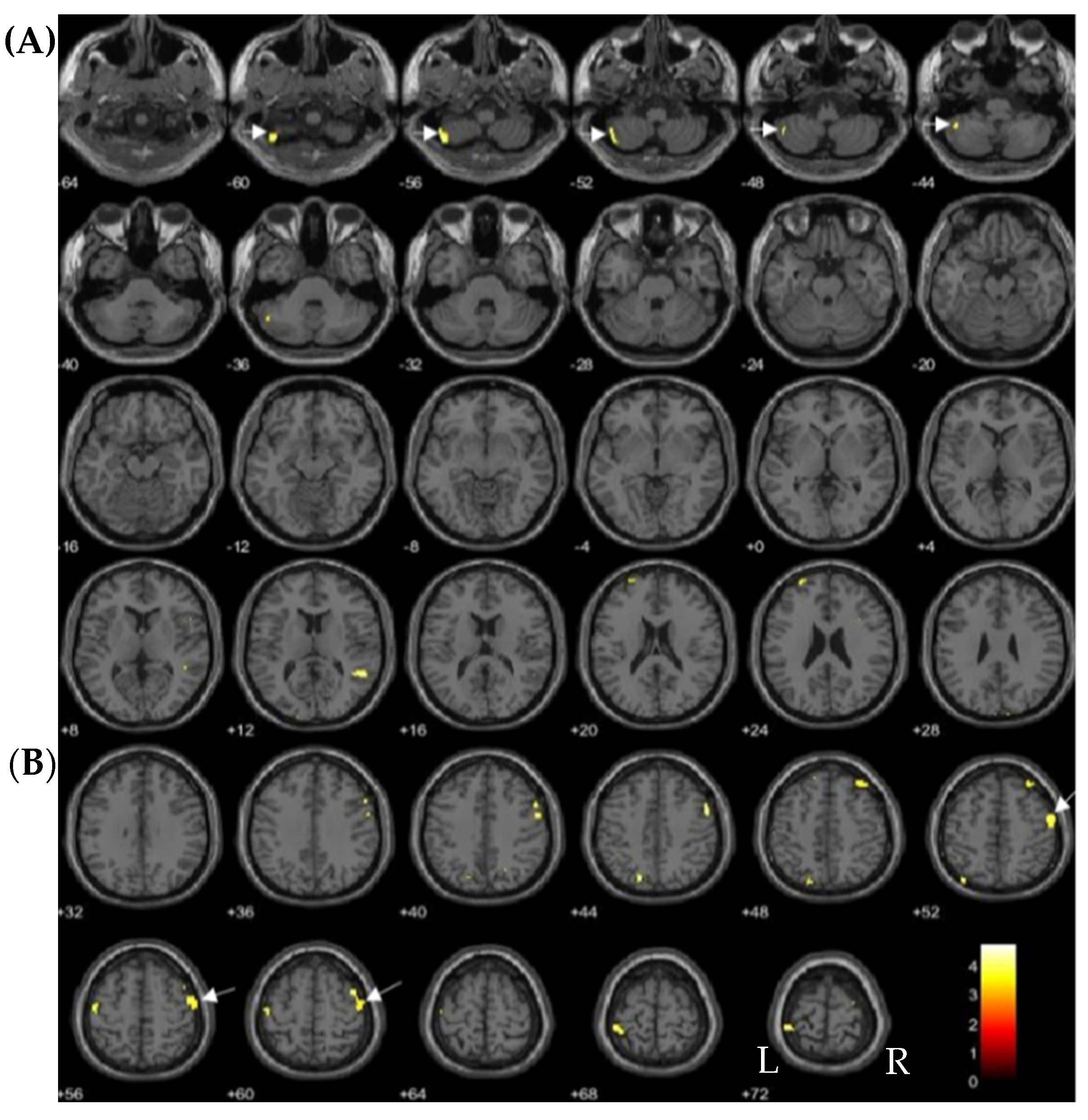 Toxics 09 00353 g003 550