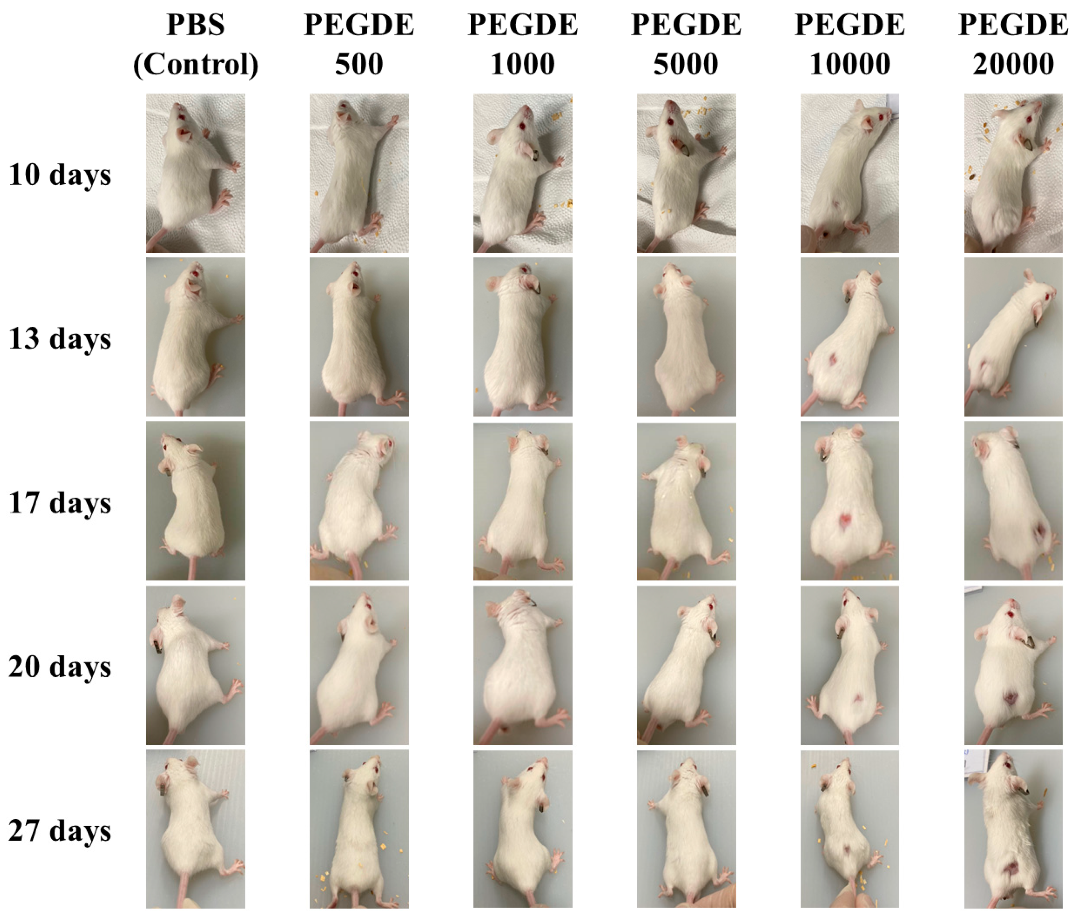 Toxics 09 00354 g001