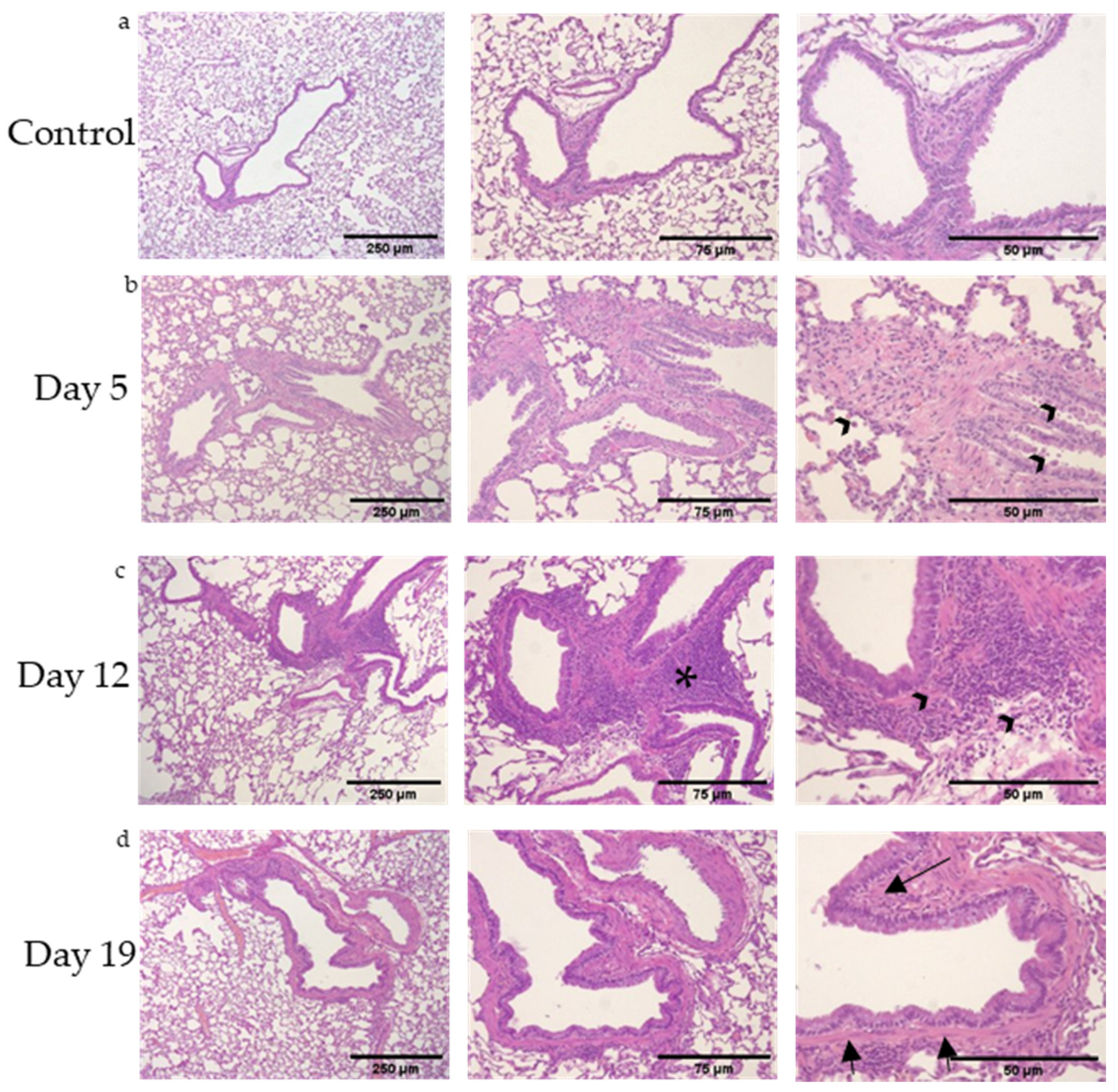 Toxics 09 00359 g001 Toxics 09 00359 g001
