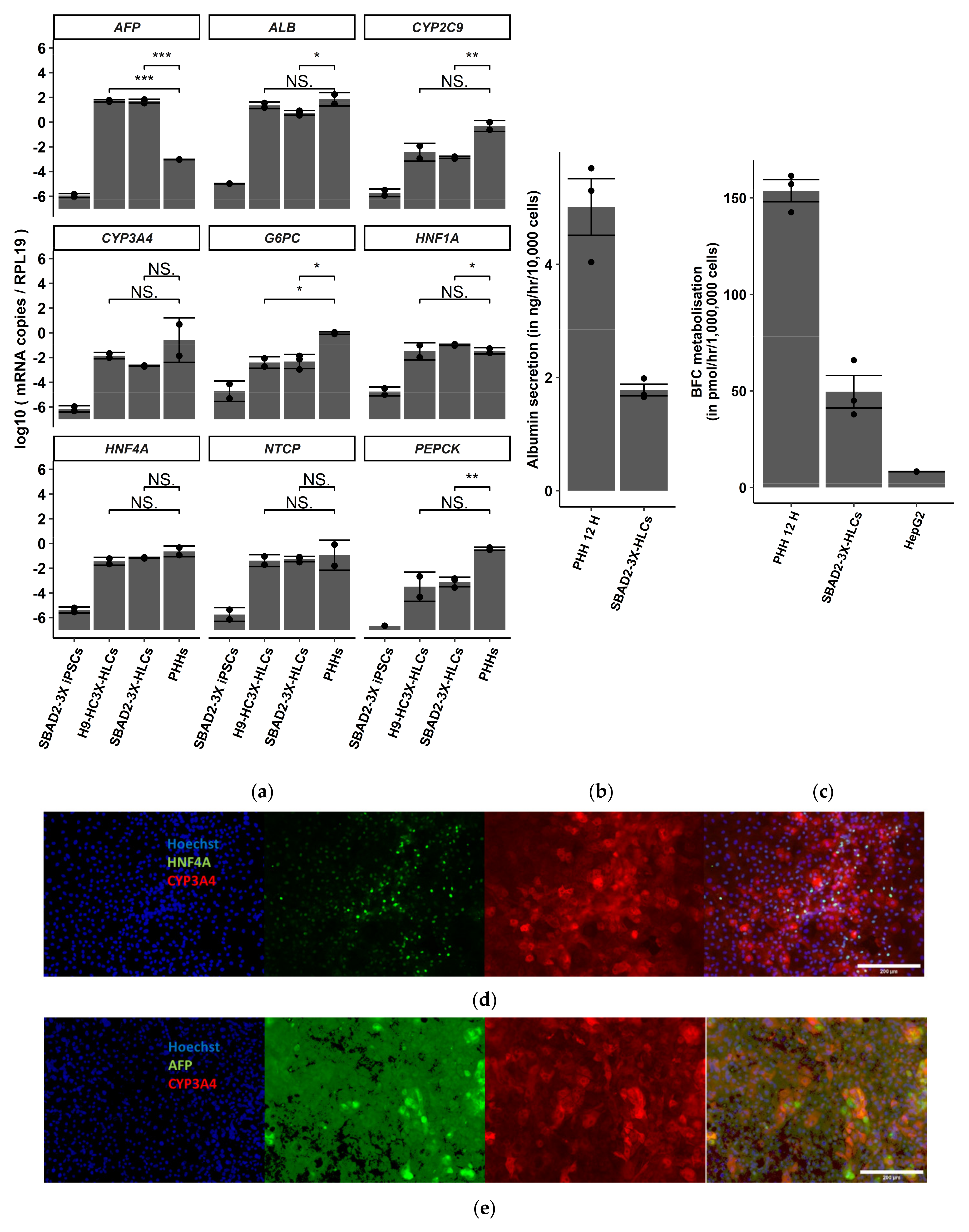 Toxics 10 00001 g001