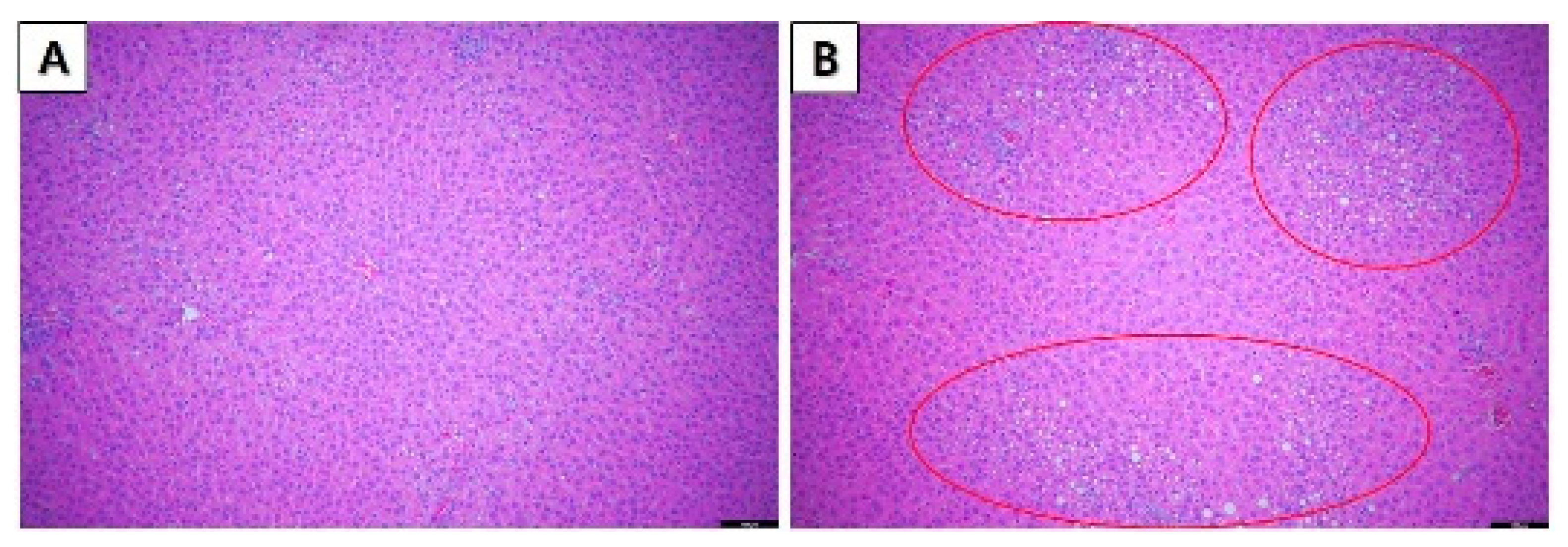 Toxics 10 00024 g001