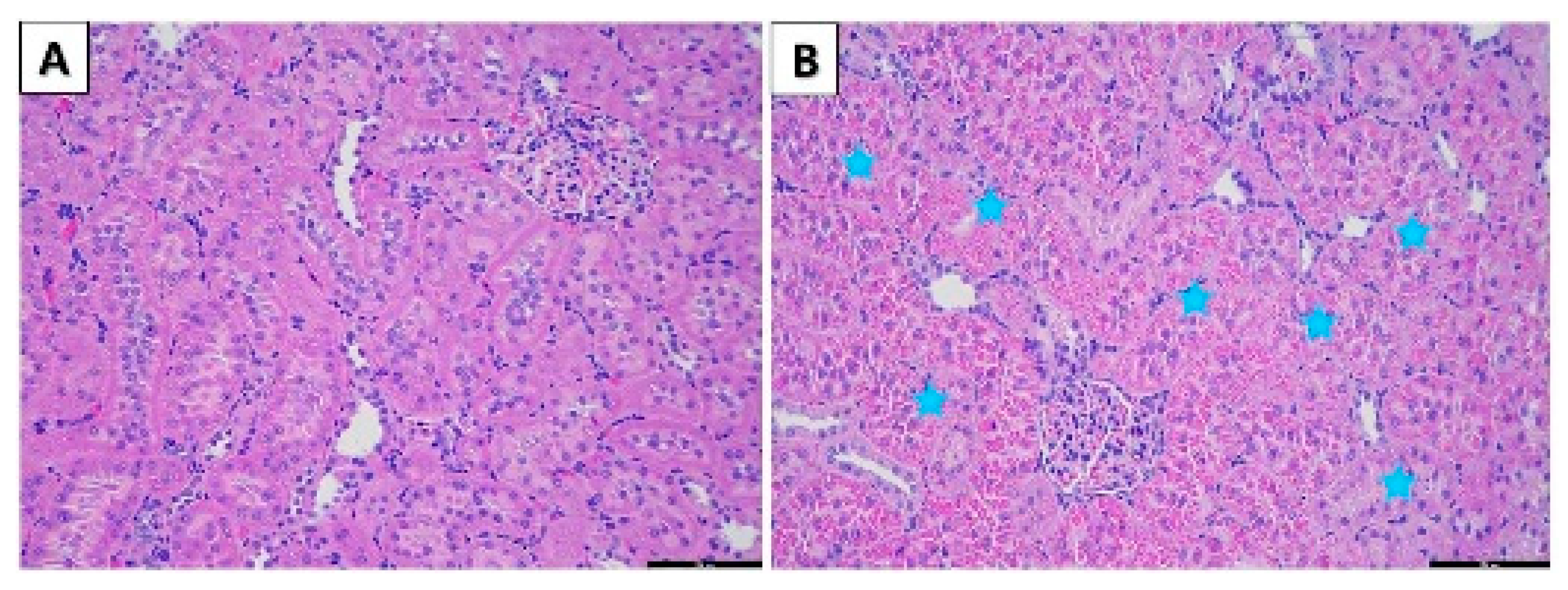 Toxics 10 00024 g002