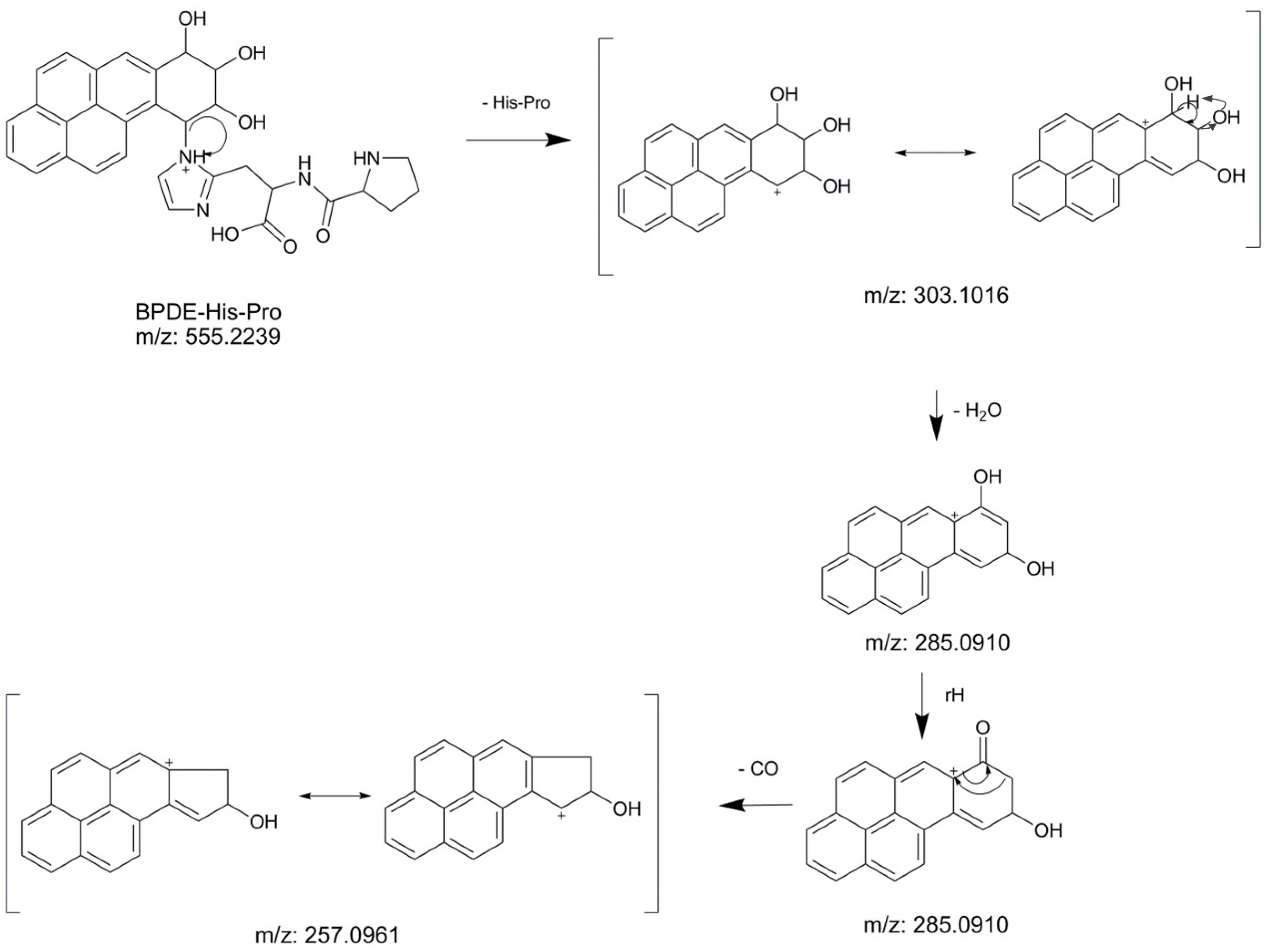Toxics 10 00027 g002 550