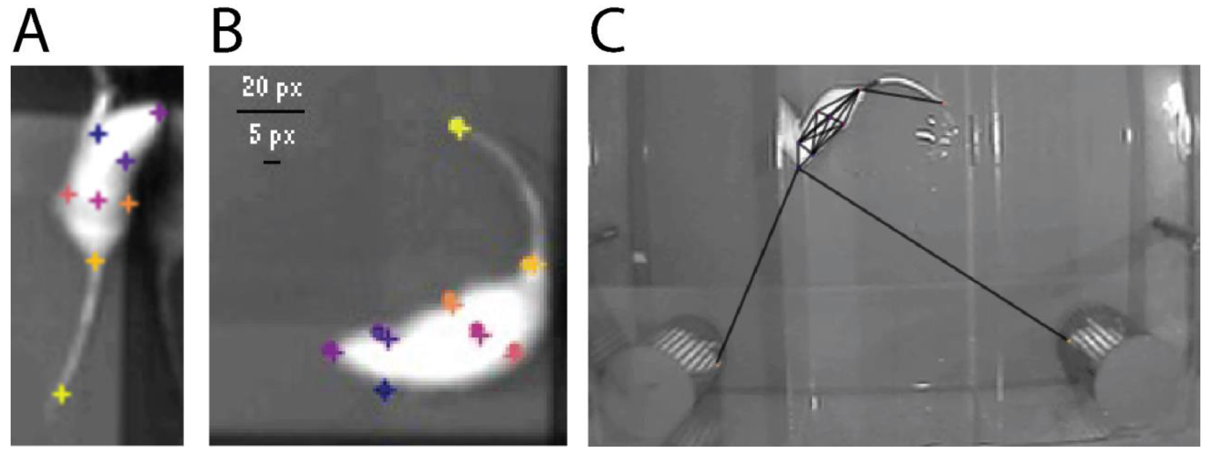 Toxics 10 00030 g003
