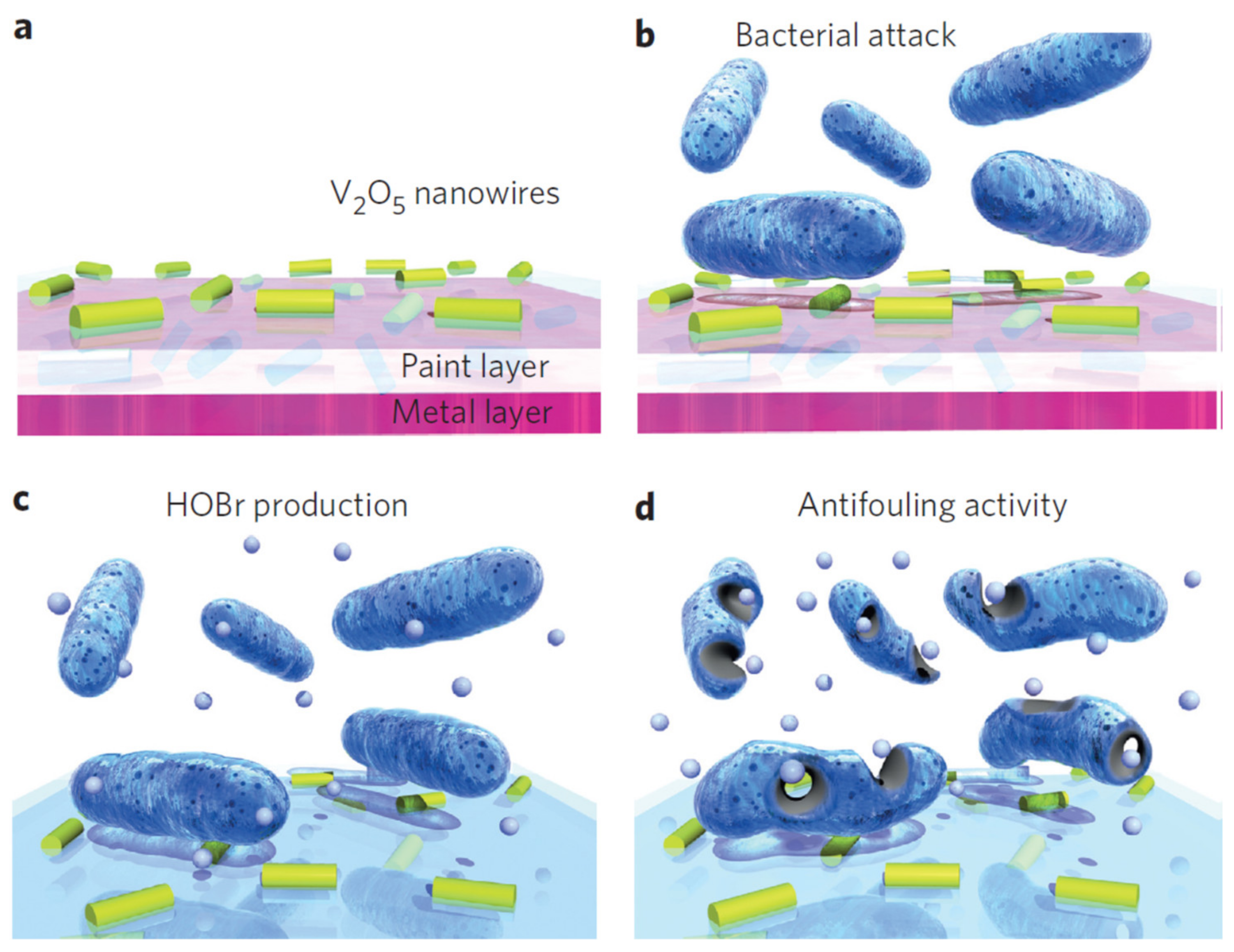 Toxics 10 00035 g003 550