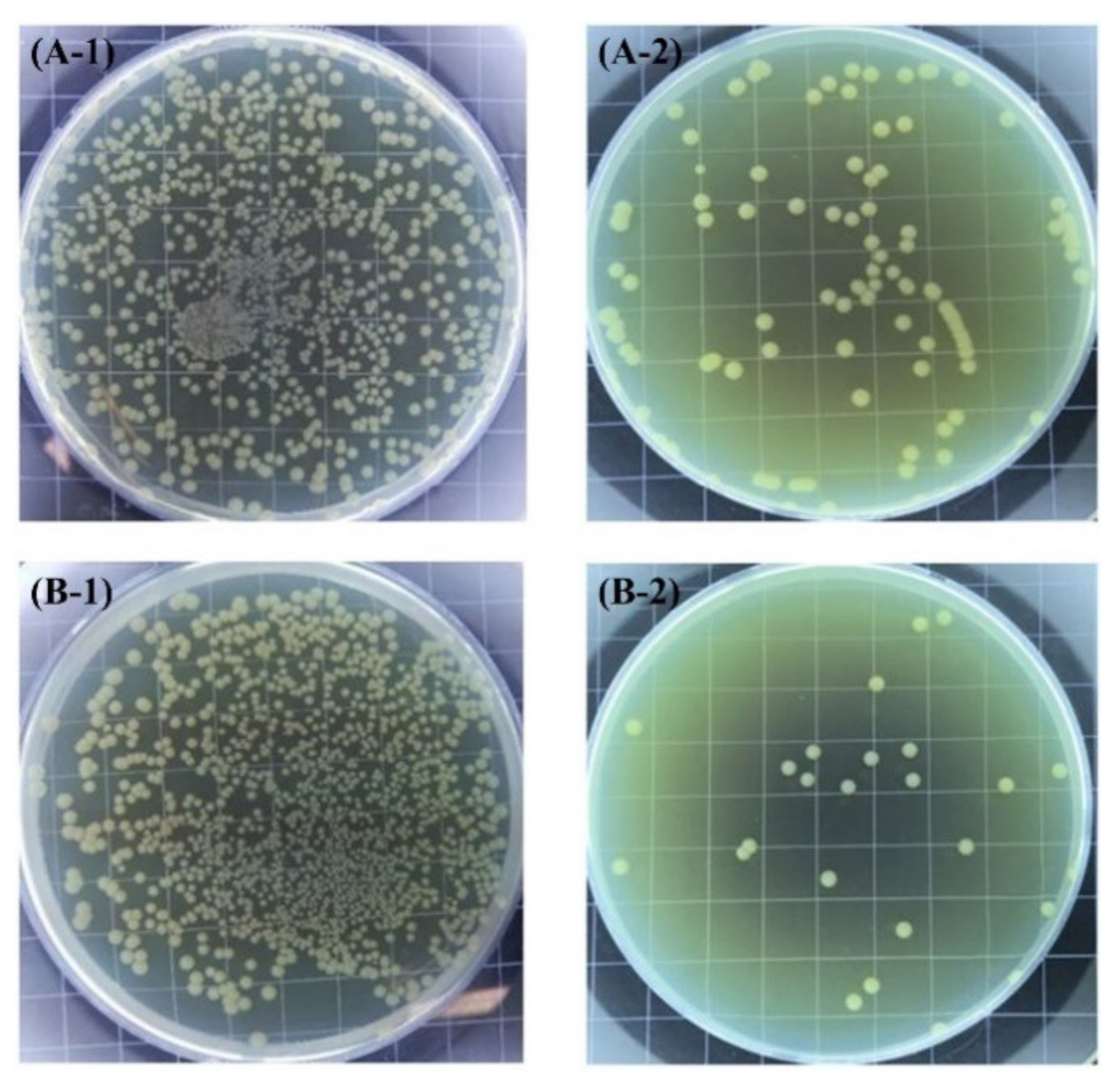 Toxics 10 00035 g006 550