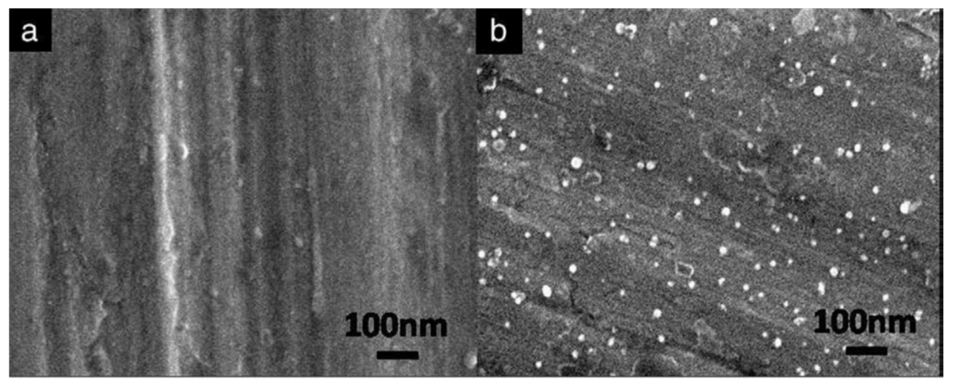 Toxics 10 00035 g007 550