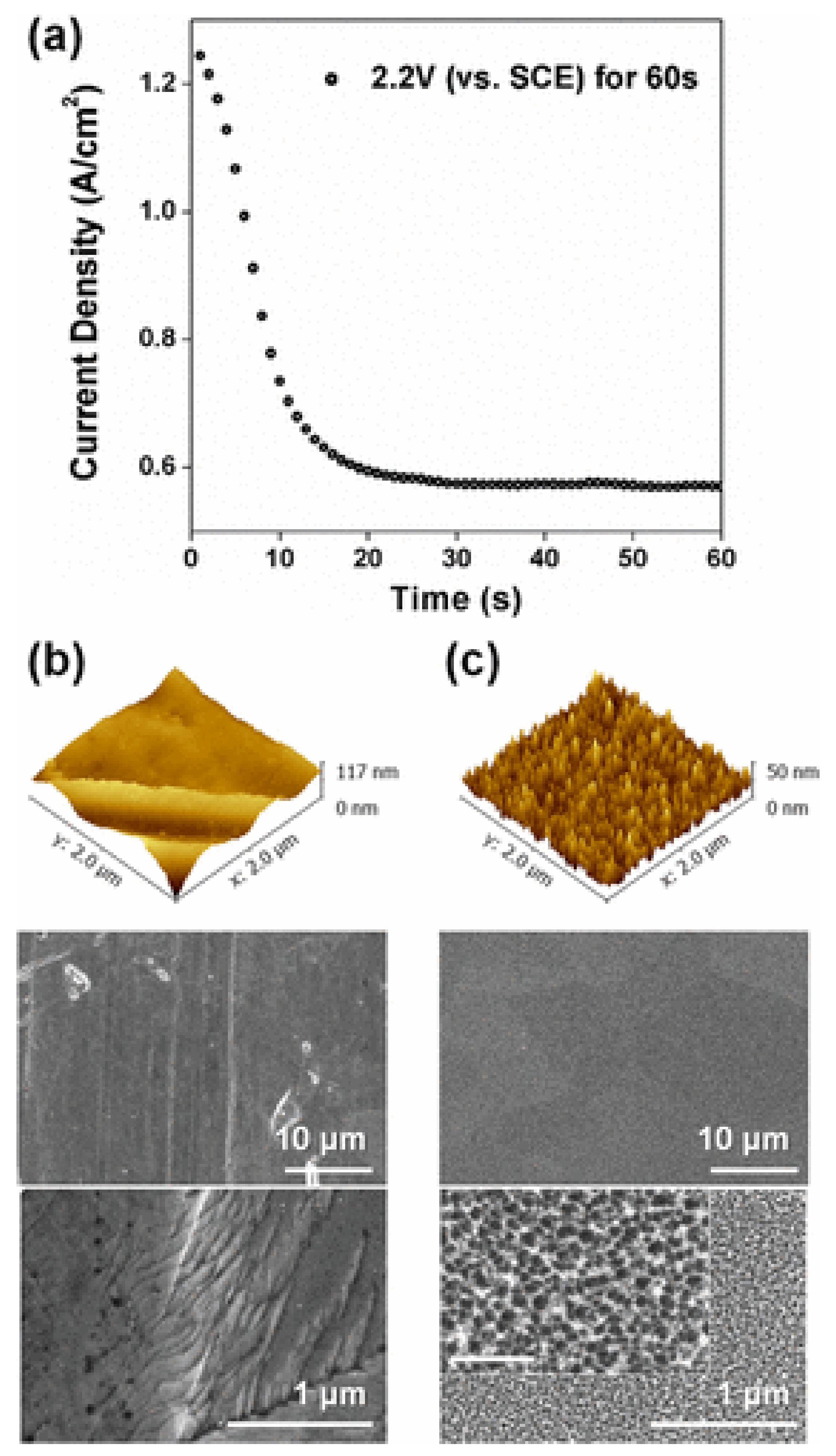 Toxics 10 00035 g011 550