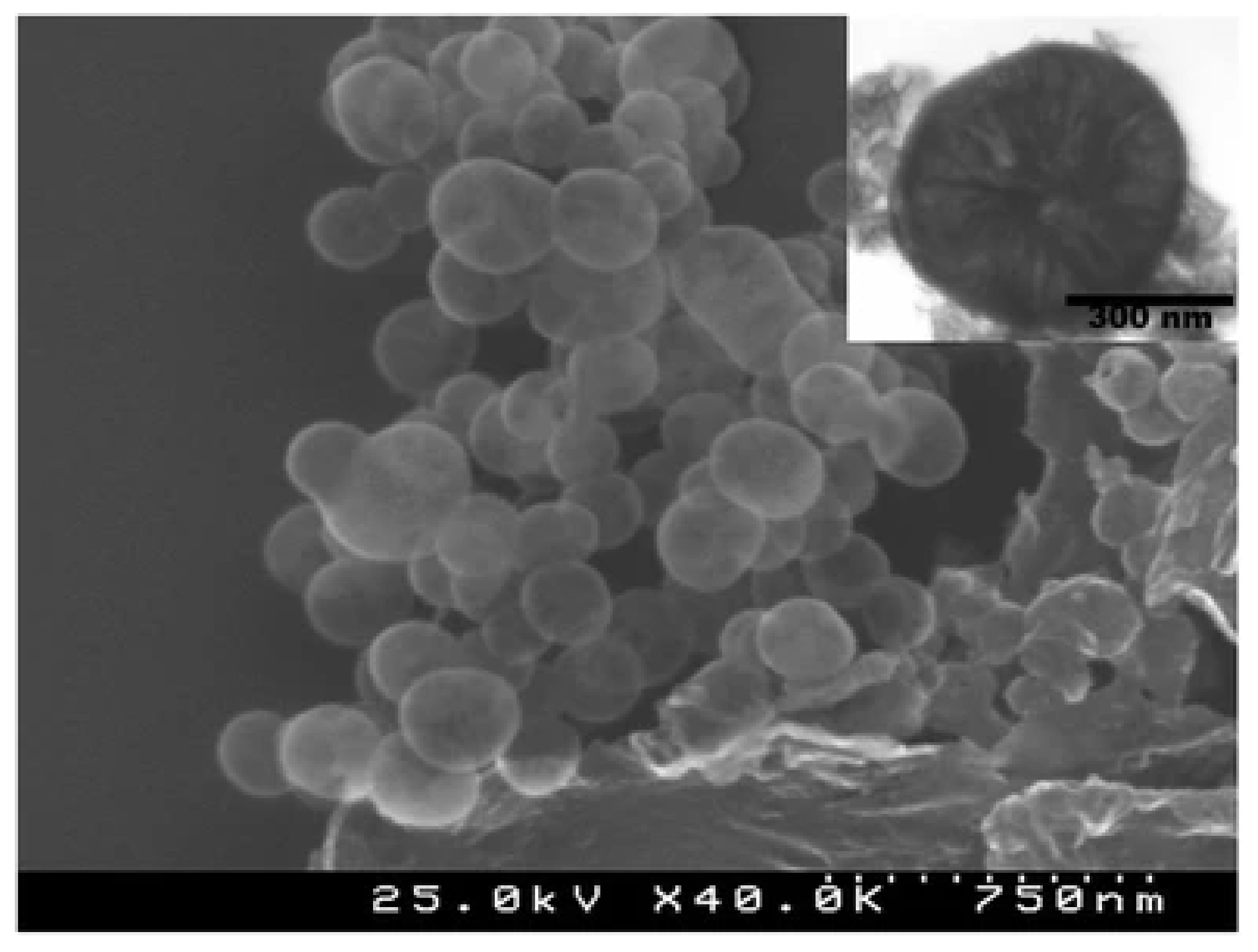 Toxics 10 00035 g012 550