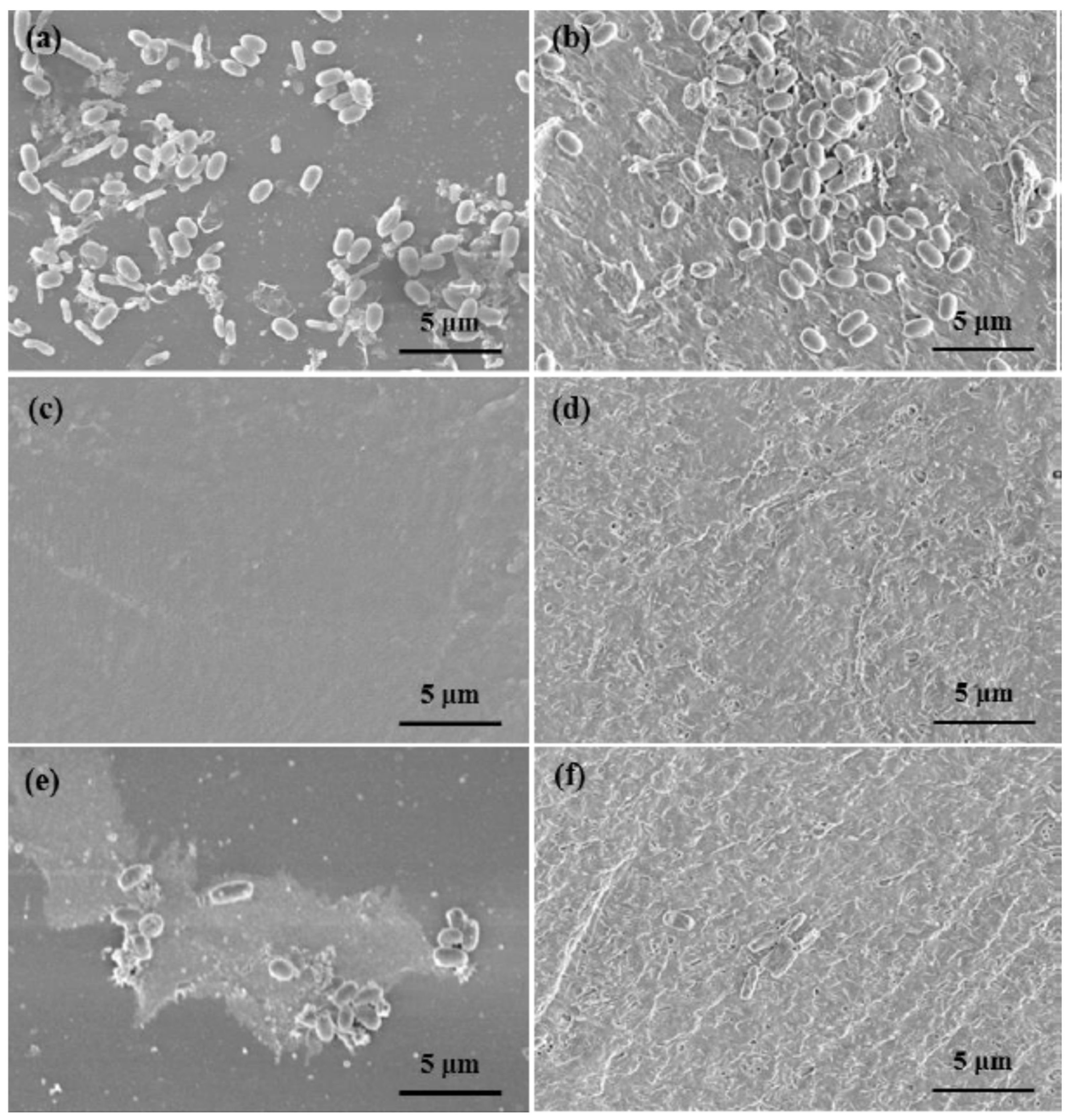 Toxics 10 00035 g015 550