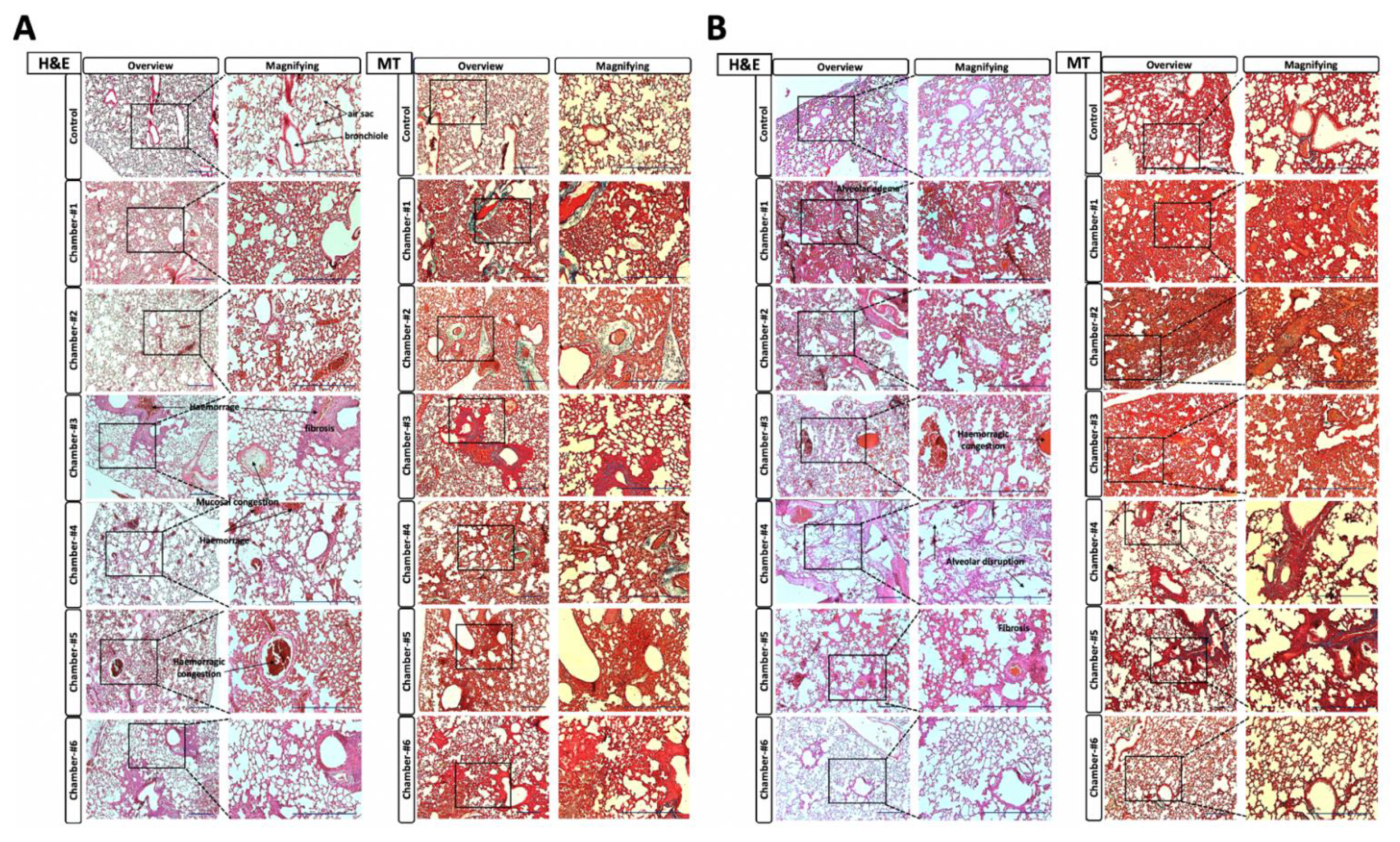 Toxics 10 00038 g004