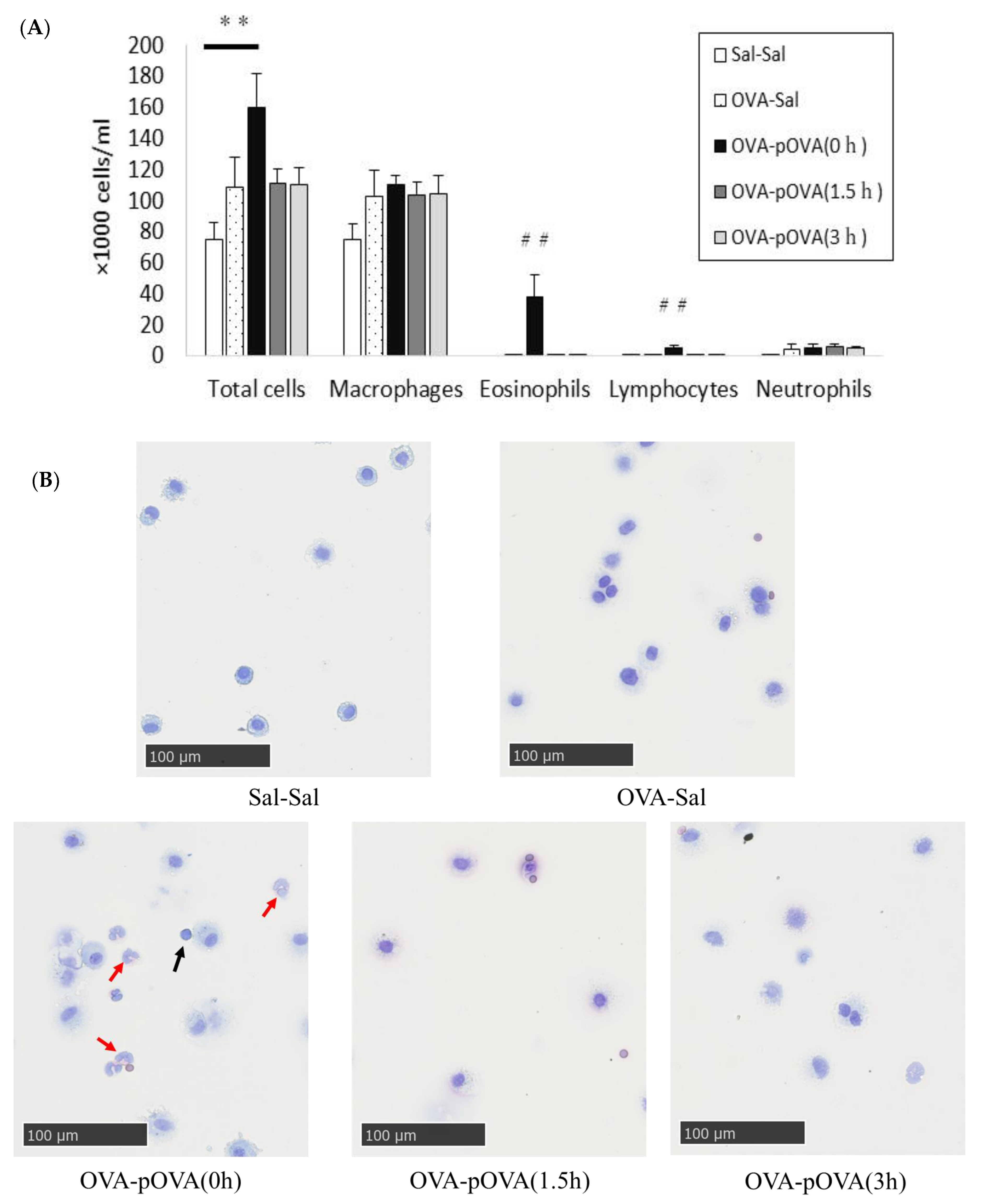 Toxics 10 00040 g005 550