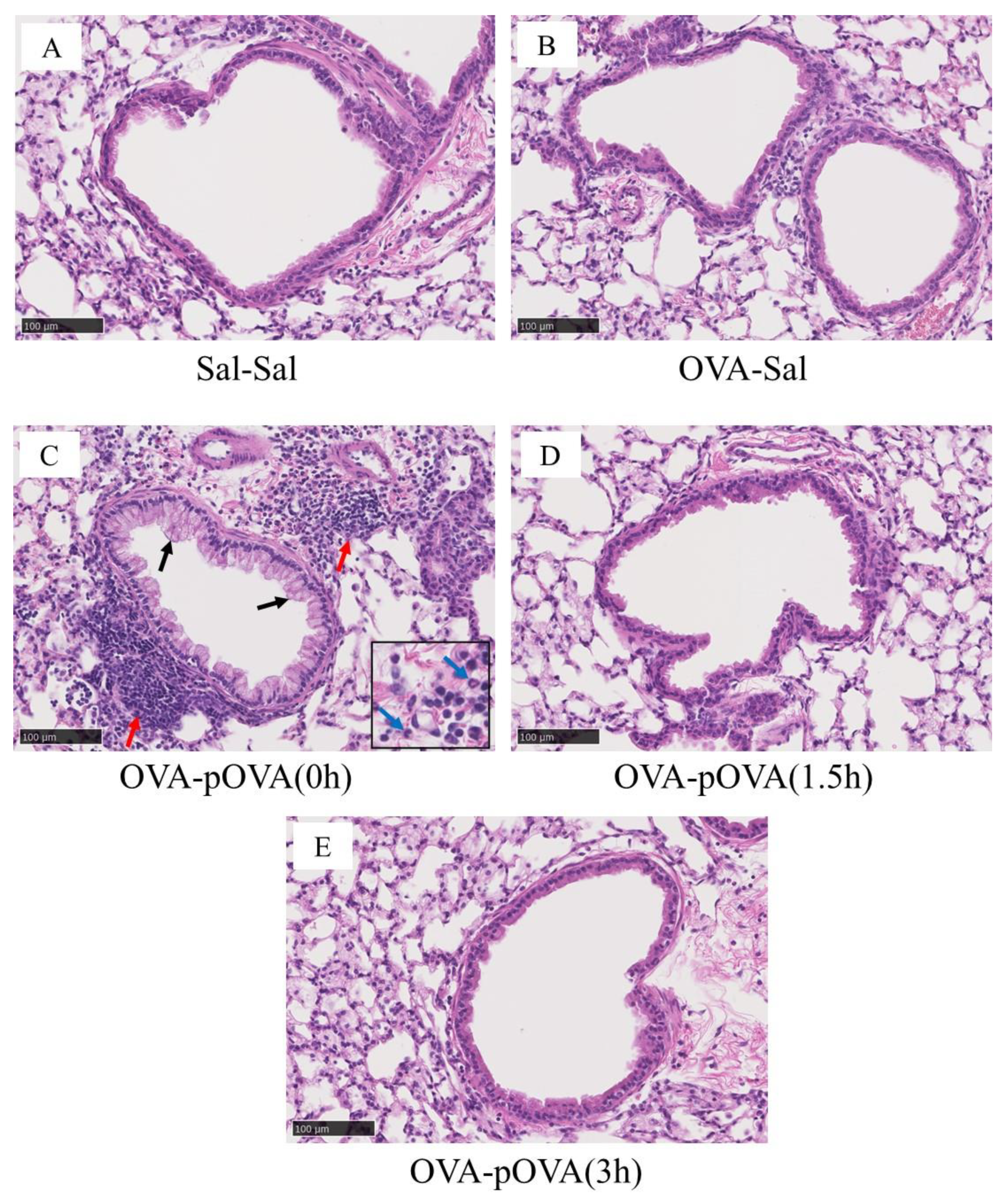 Toxics 10 00040 g006 550