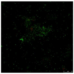 Toxics 10 00042 i001