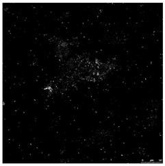 Toxics 10 00042 i003