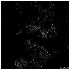 Toxics 10 00042 i004