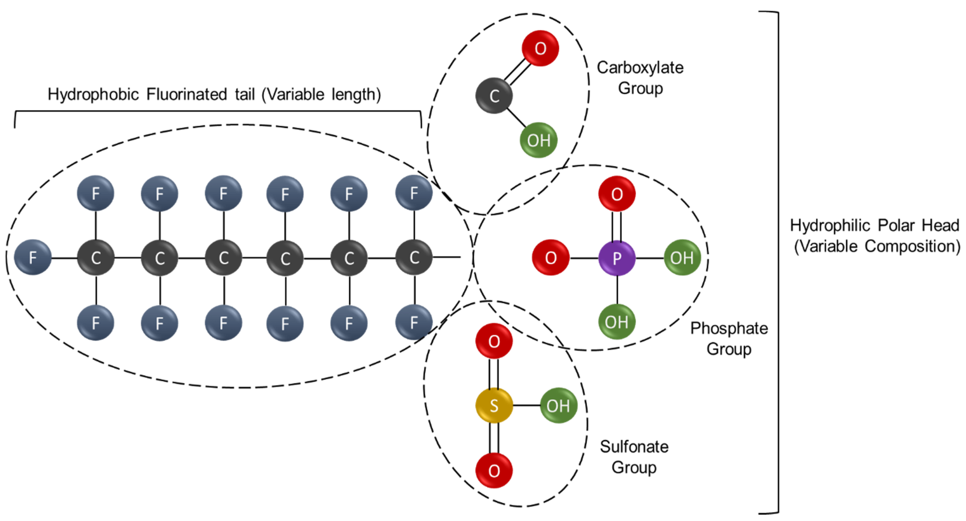 Toxics Free Full-Text PFAS Molecules A Major Concern for the Human Health and the Environment image image