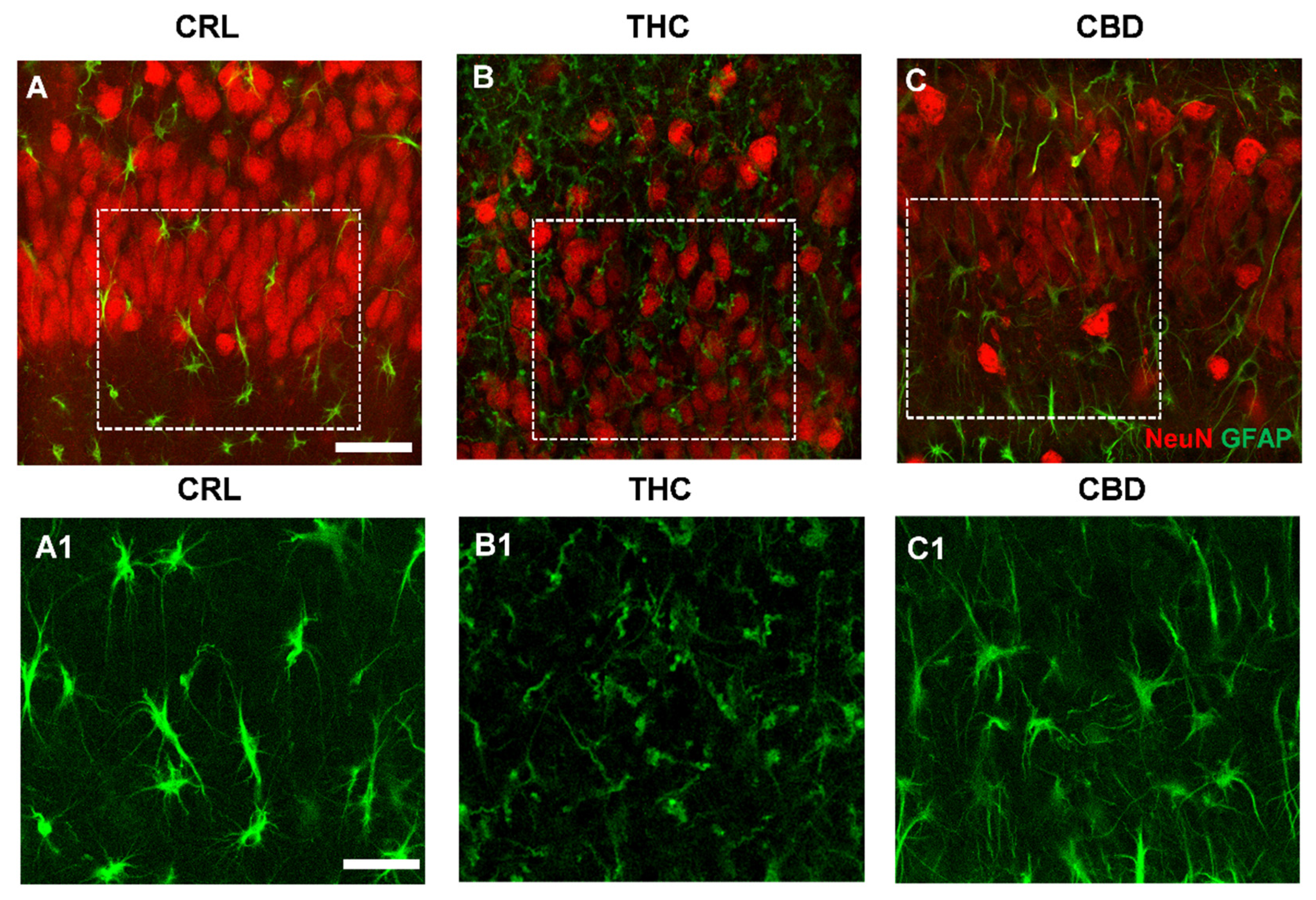 Toxics 10 00048 g004a 550