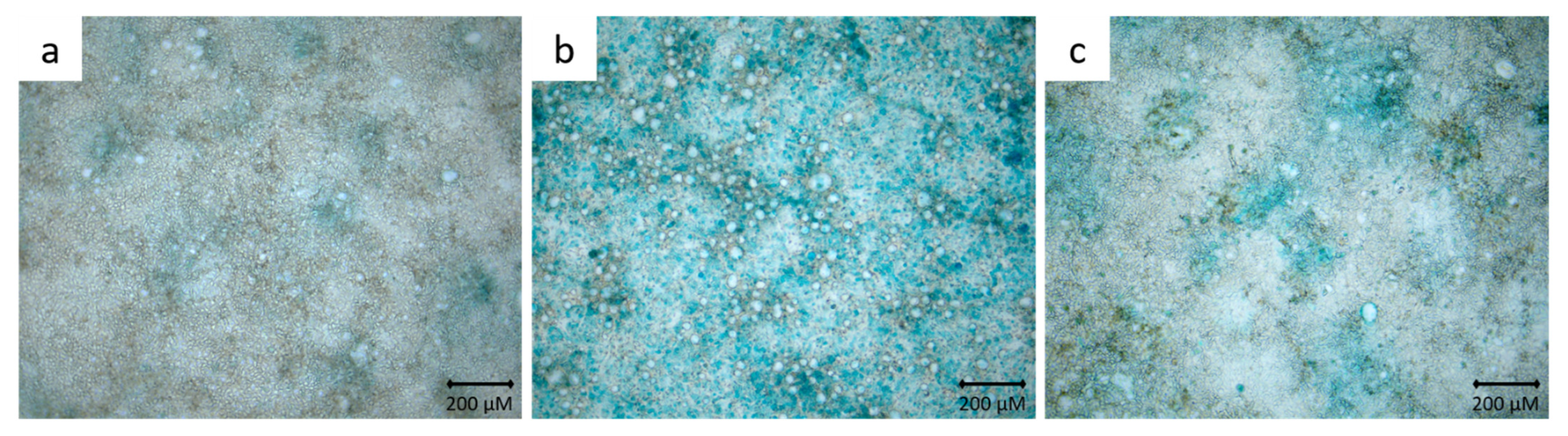 Toxics 10 00049 g001 Toxics 10 00049 g001