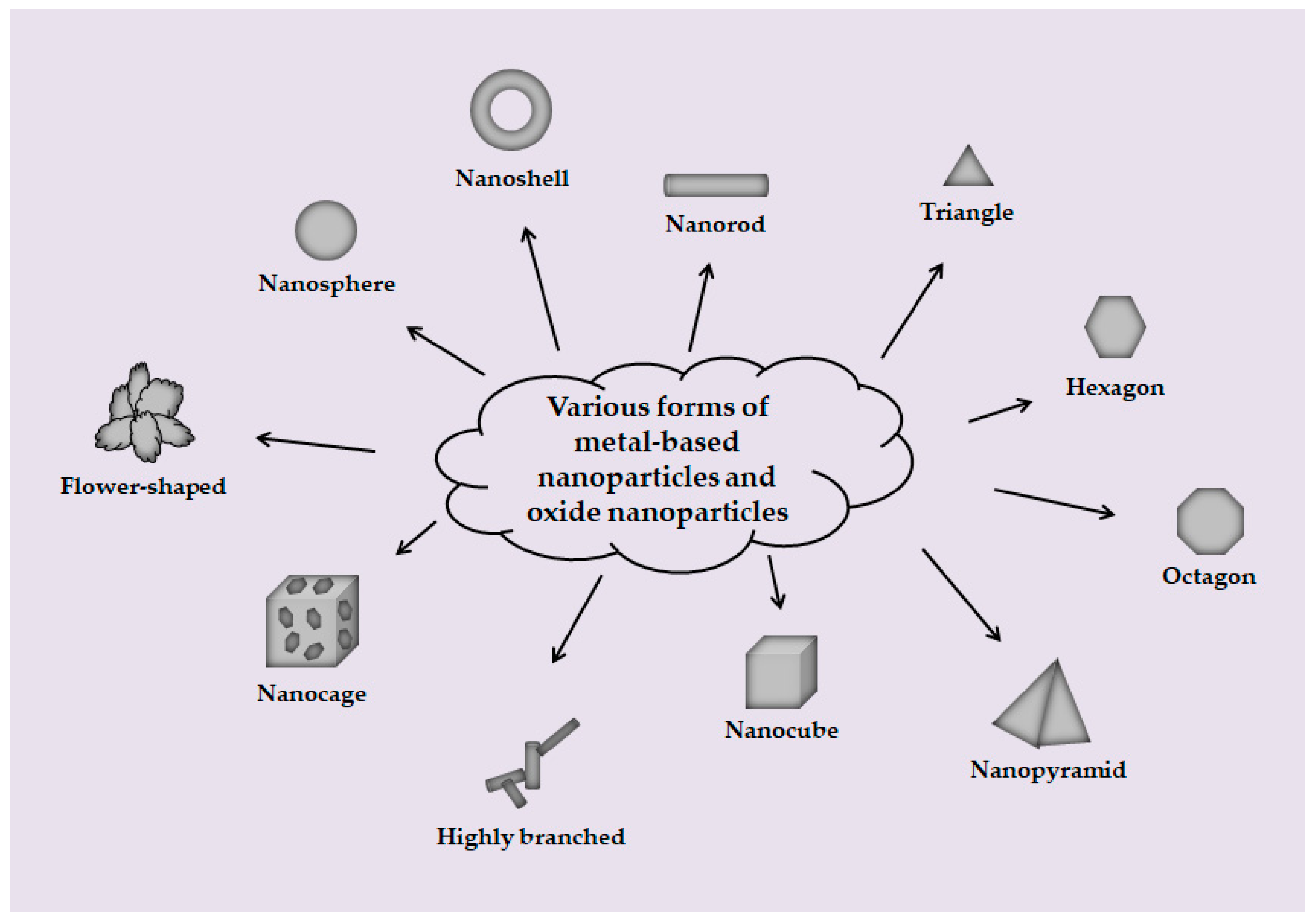 Toxics 10 00050 g002 550
