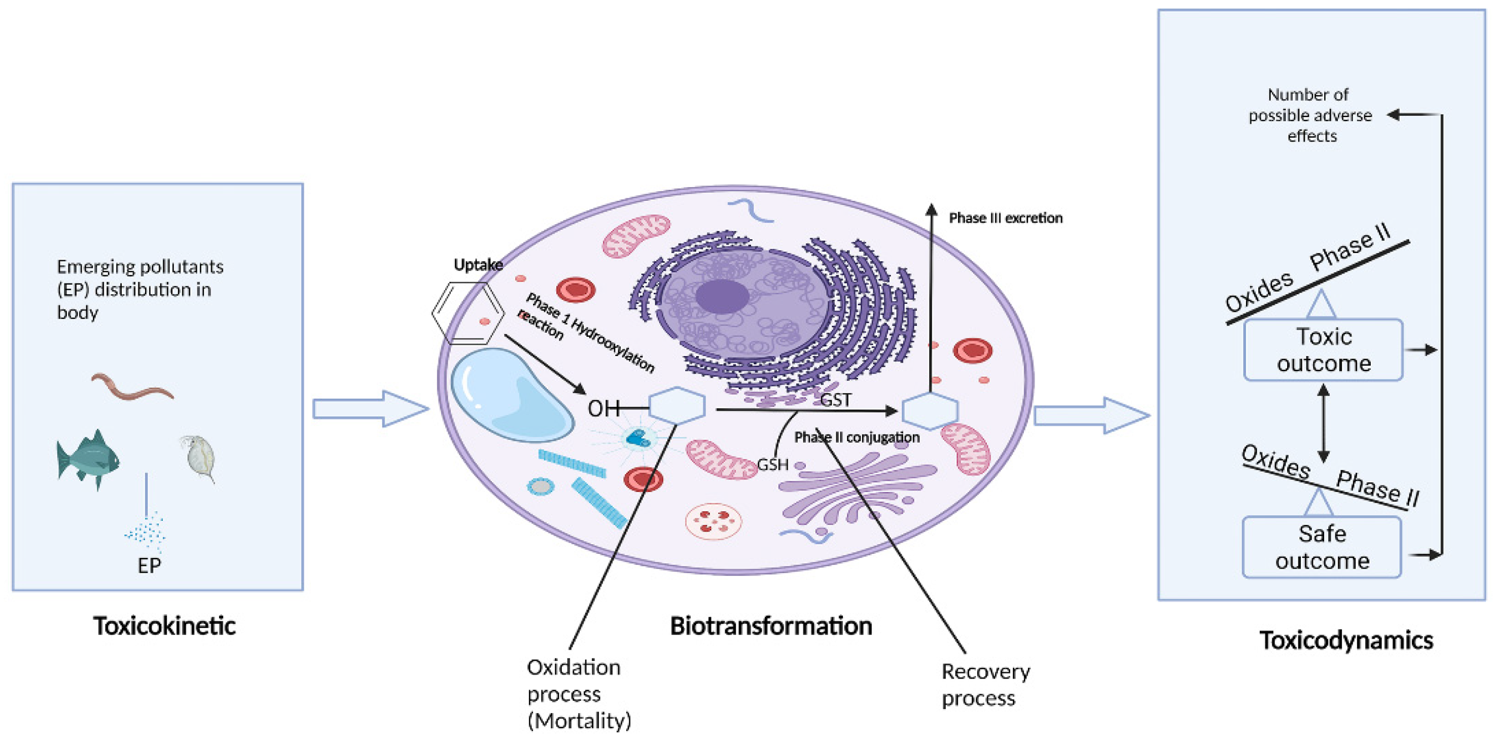 Toxics 10 00054 g005