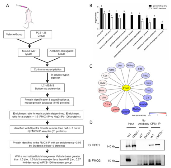 Toxics Free Full Text Proteomics Based Identification of